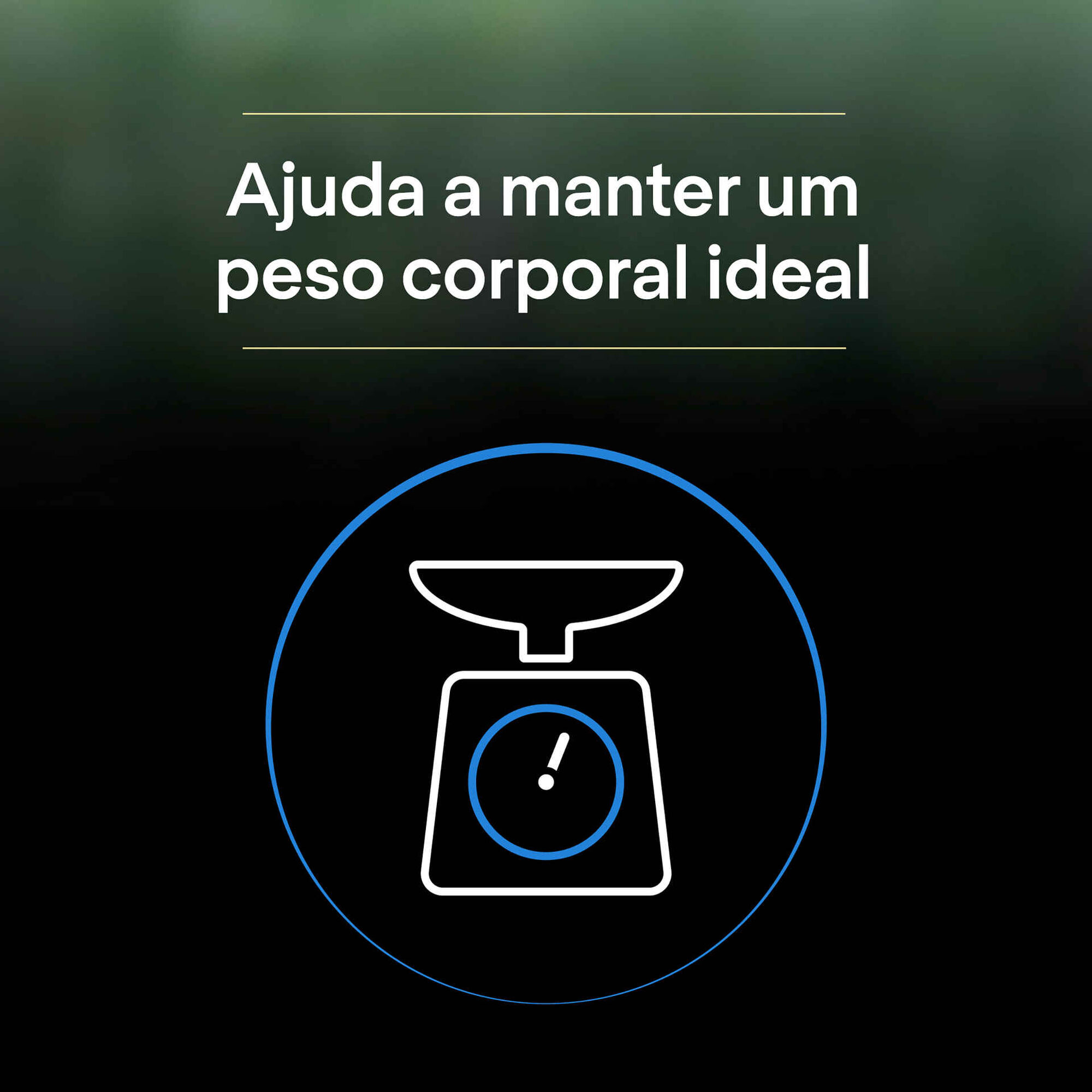 Ração para Gato Sénior Esterilizado Live Clear Peru