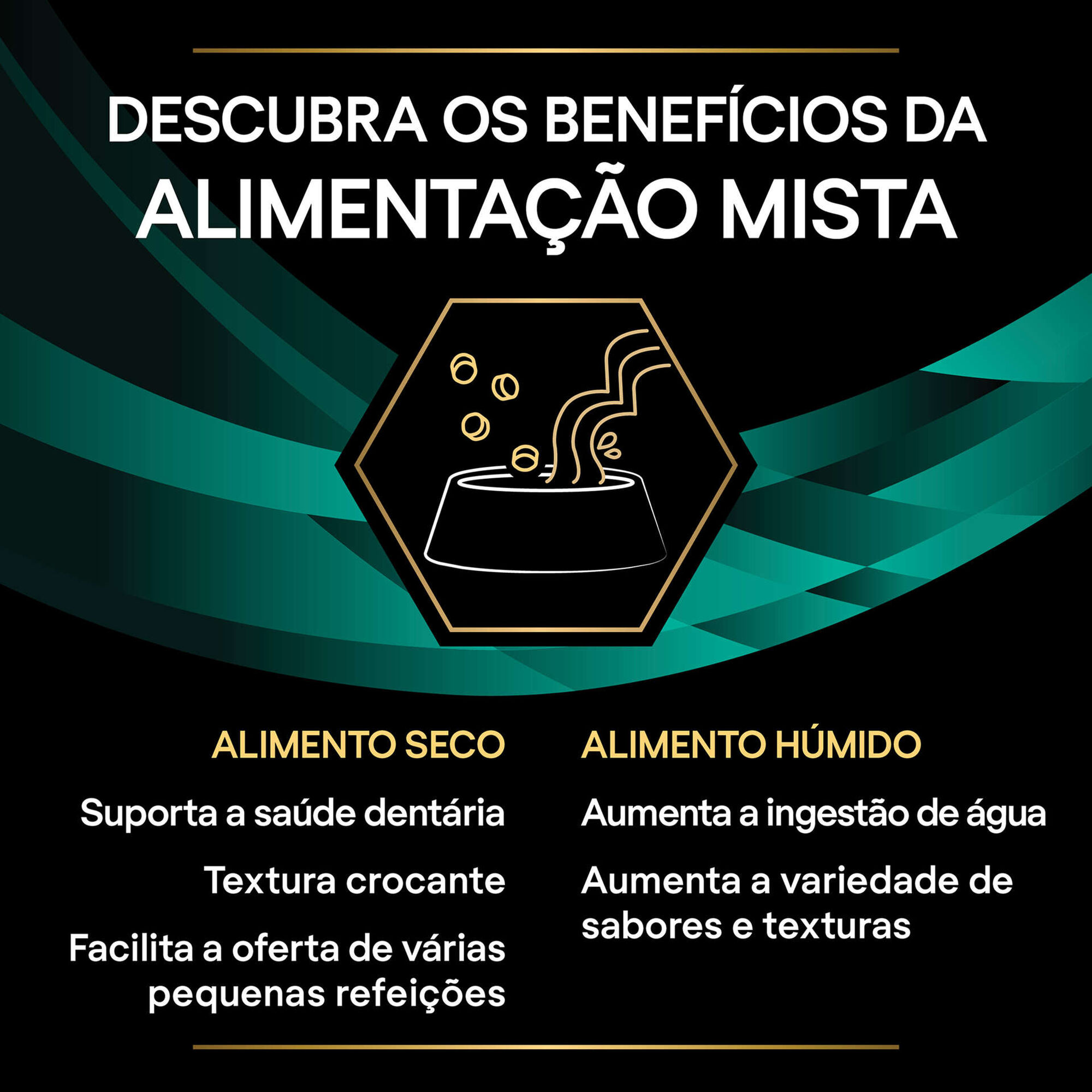Pack Comida Húmida para Gato Gastrointestinal Frango