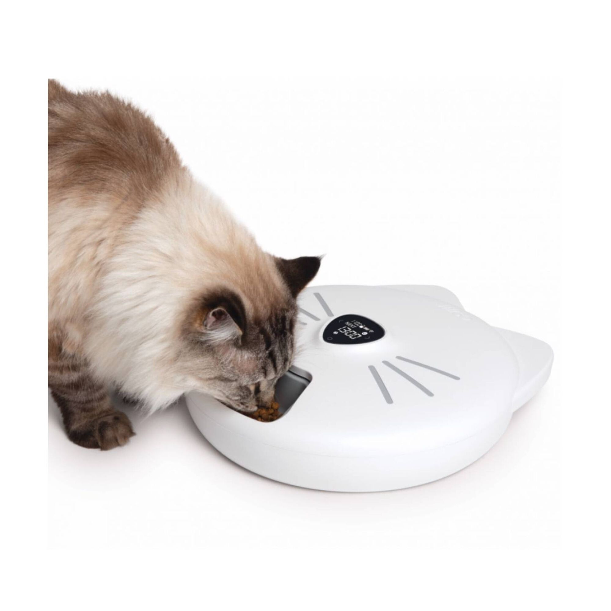 Comedouro Automático 6 Rações