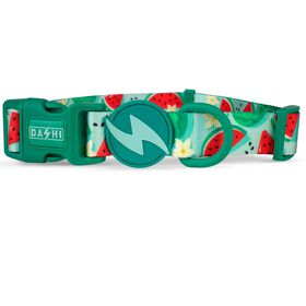 Coleira para Cão Eco Breeze