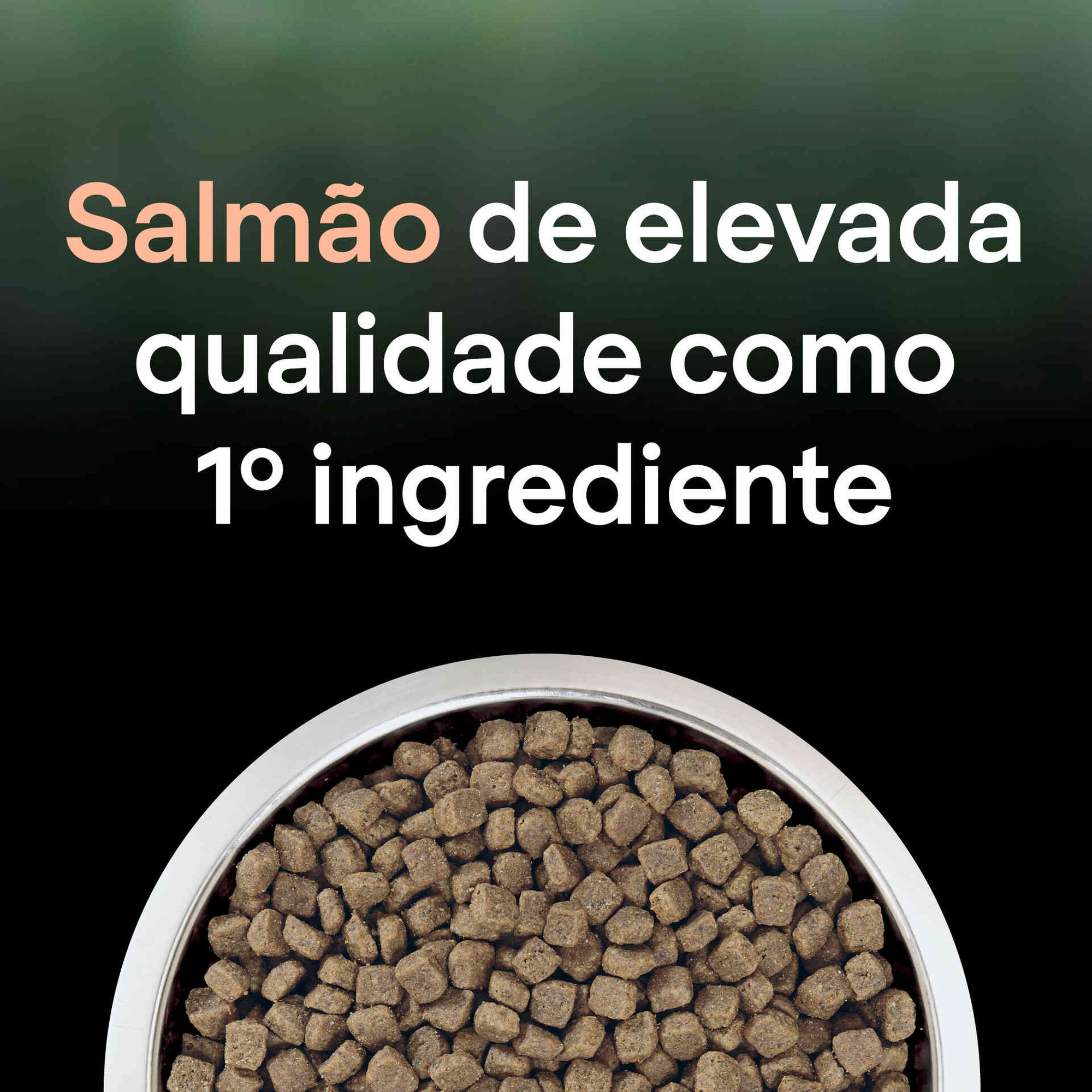 Ração para Gato Adulto Esterilizado Live Clear Salmão