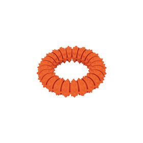 Brinquedo para Cão Anel Borracha Água