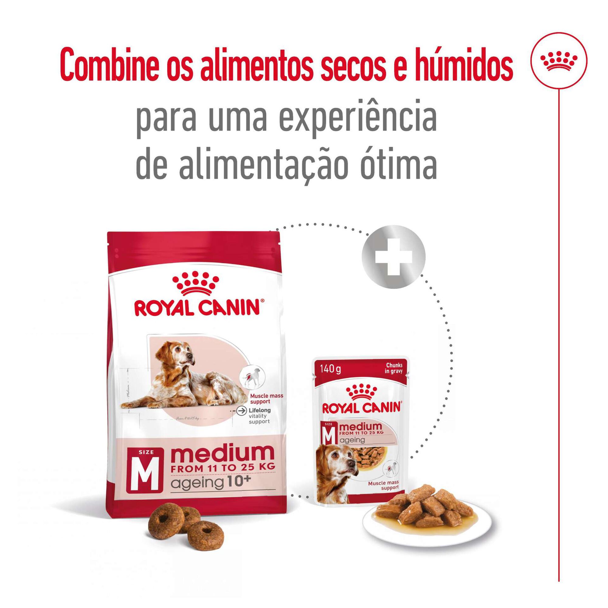 Ração para Cão Sénior Medio Ageing +10