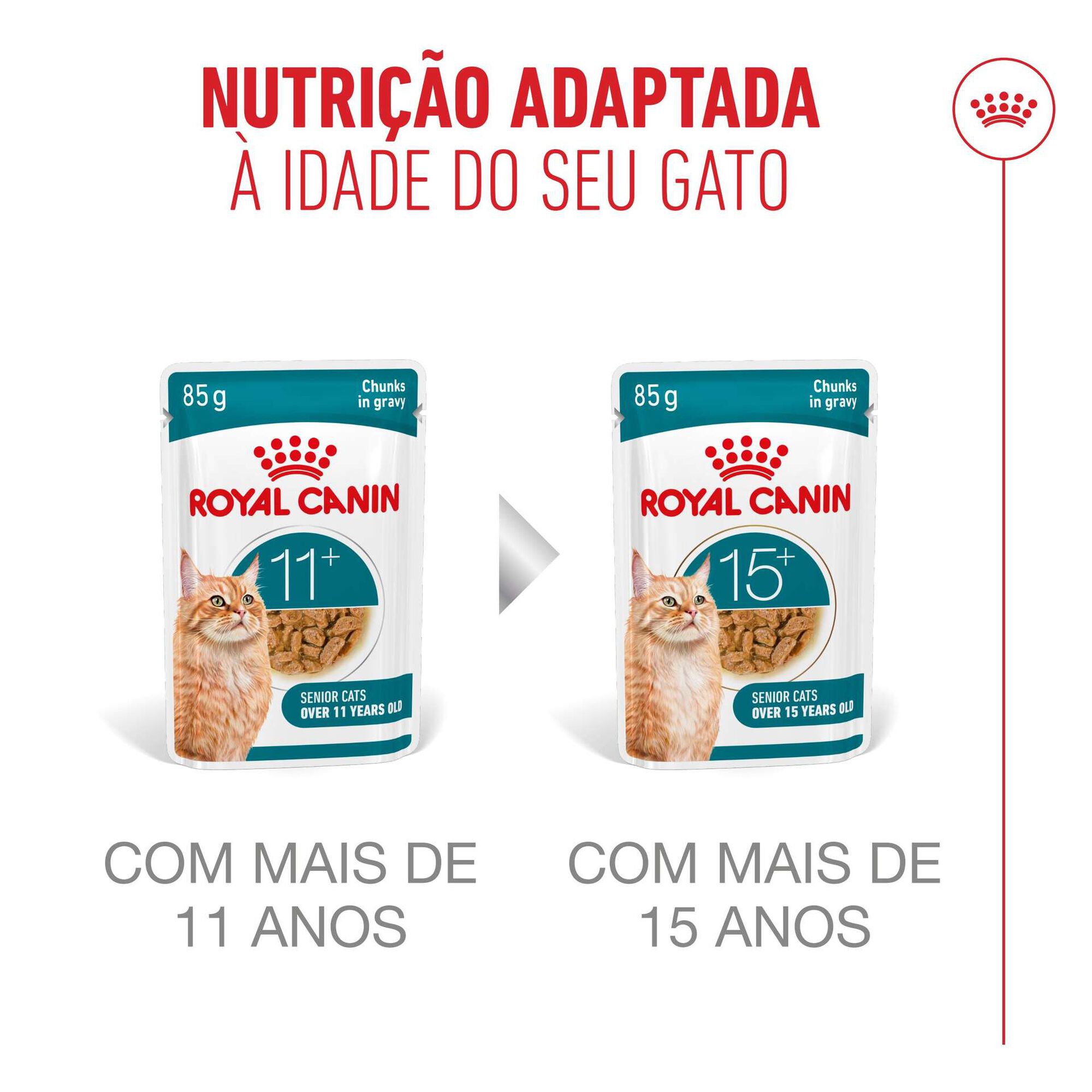 Comida Húmida para Gato Sénior Ageing+11 em Molho
