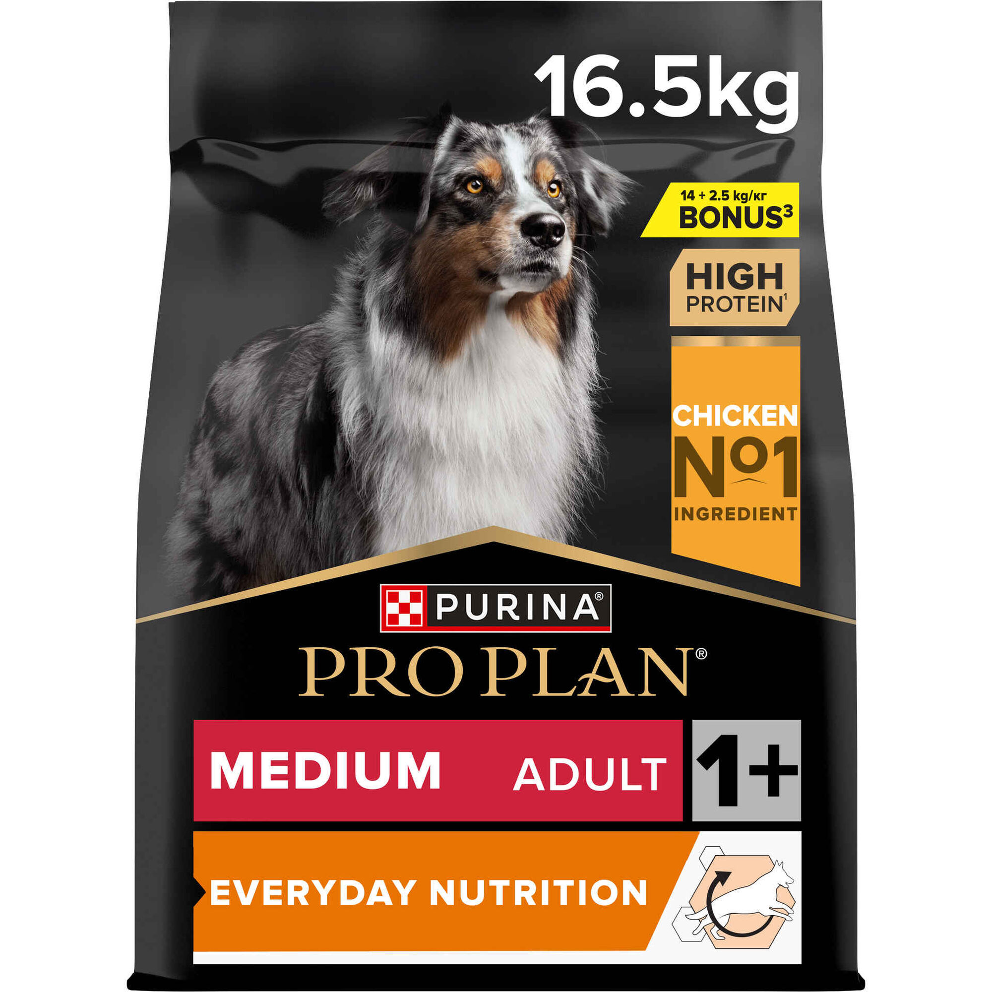 Ração para Cão Adulto Médio Everyday Nutrition Frango