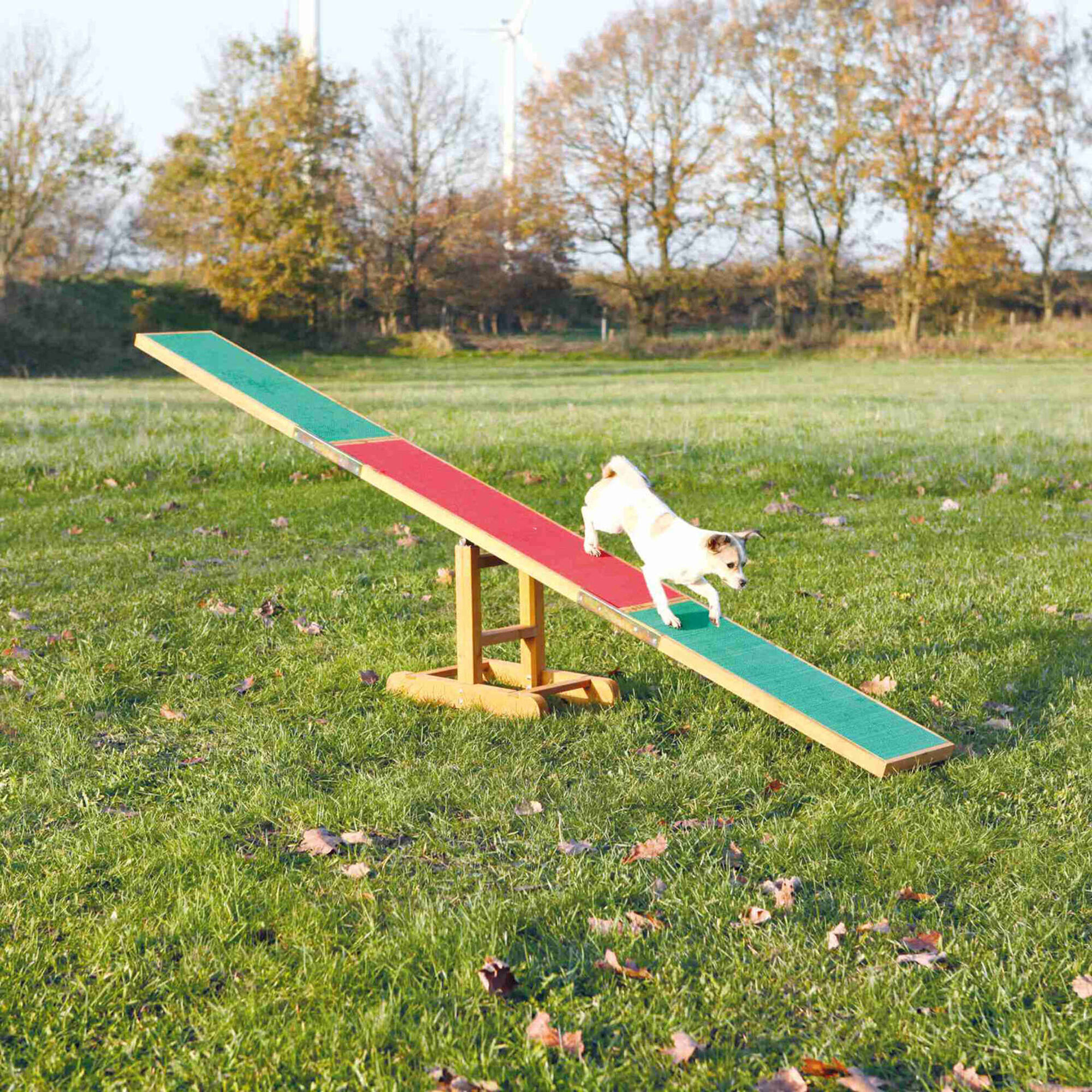 Balance Agility para Cão