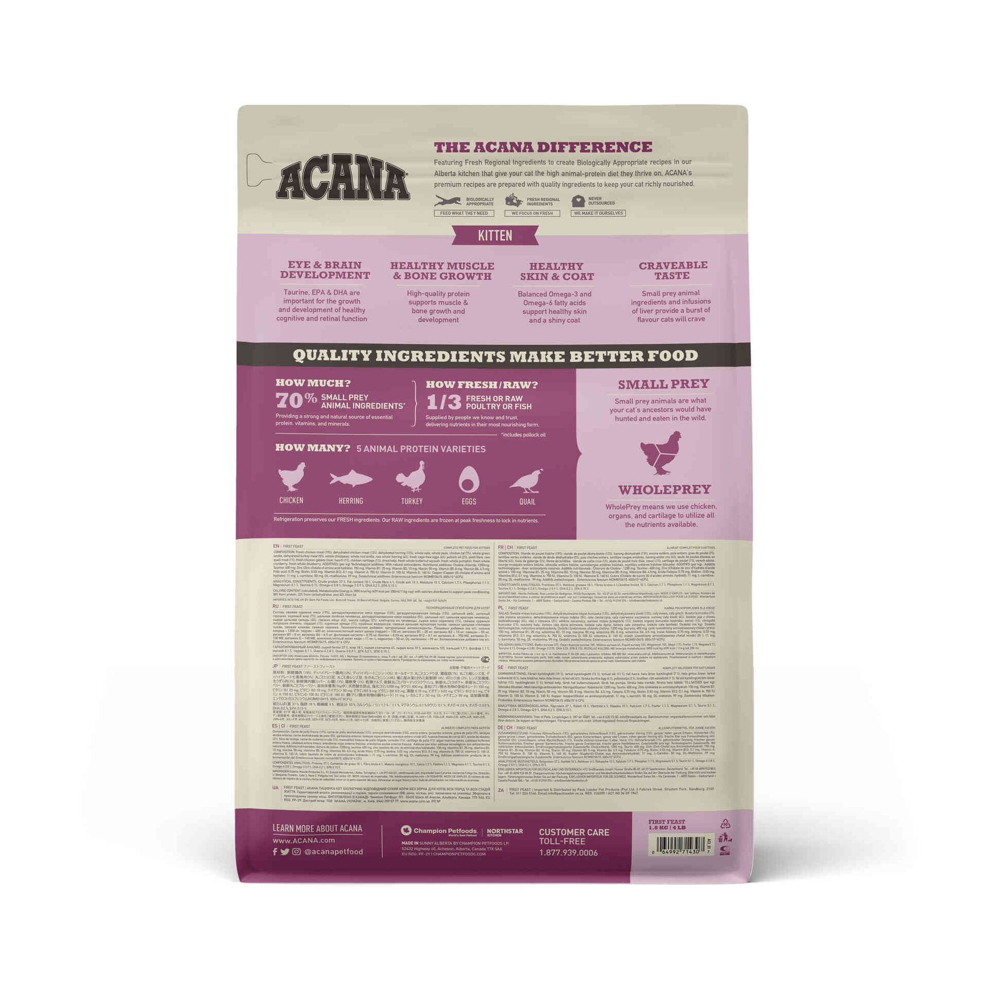 Ração para Gato Júnior First Feast