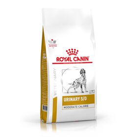 Ração para Cão Urinary S/O Moderação de Calorias Ração para Cão Urinary S/O Moderação de Calorias