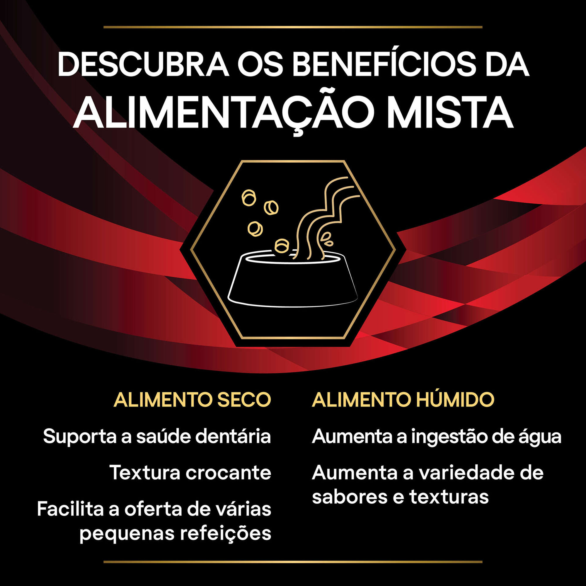 Ração para Gato Diabetes Management