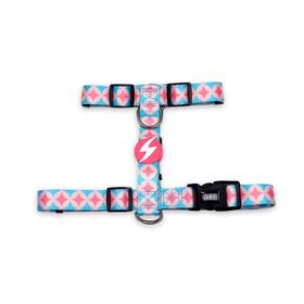 Arn&ecirc;s para C&atilde;o Coral S Dashi