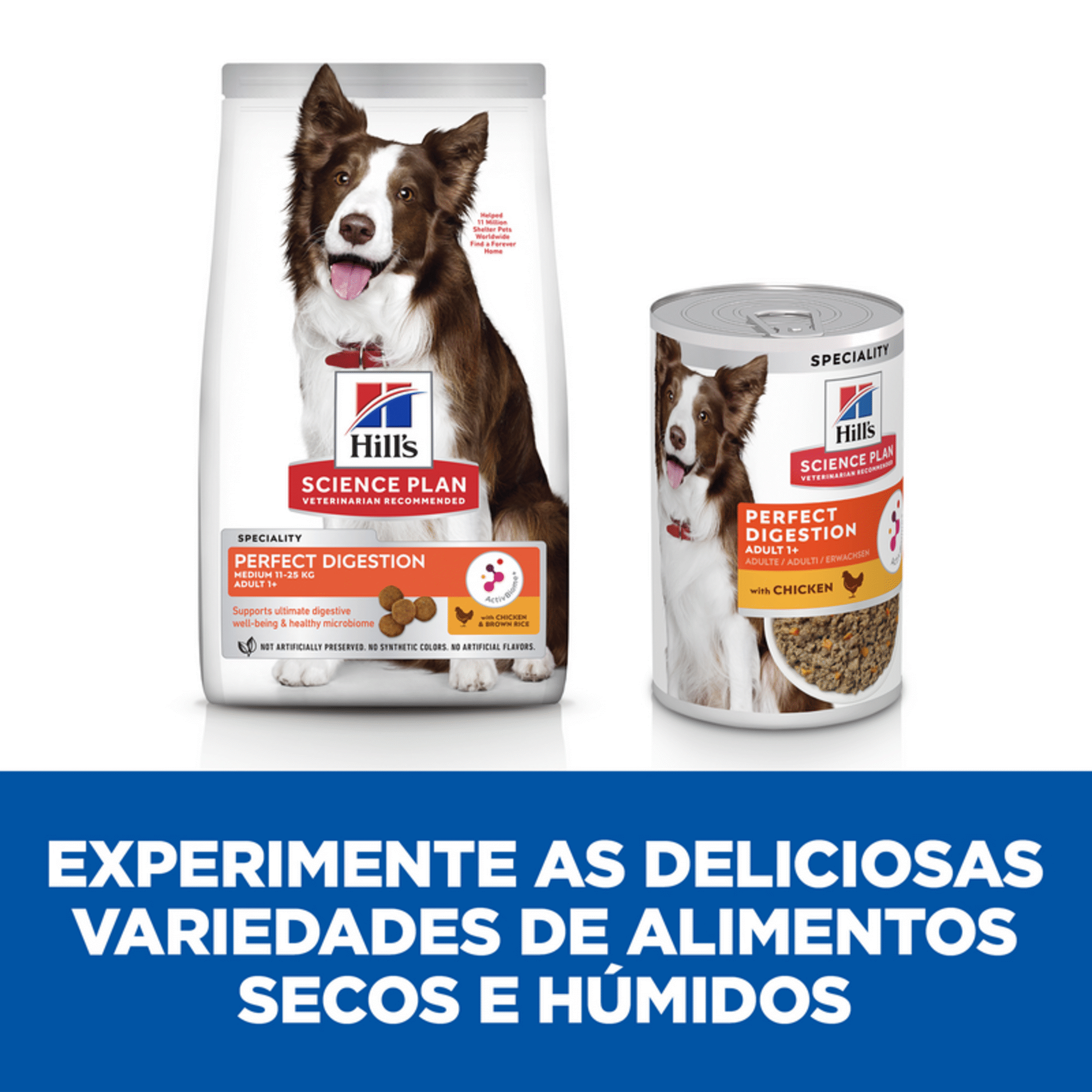 Ração para Cão Adulto Médio Science Plan Perfect Digestion Frango