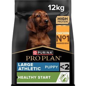 Ração para Cão Júnior Maxi Athletic Healthy Start Frango Ração para Cão Júnior Maxi Athletic Healthy Start Frango
