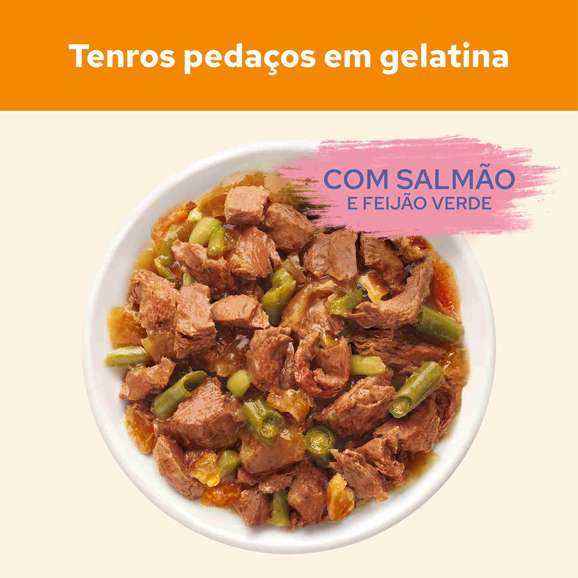 Comida Húmida para Gato Adulto Salmão Saquetas