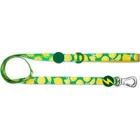 Trela para Cão Eco Rio