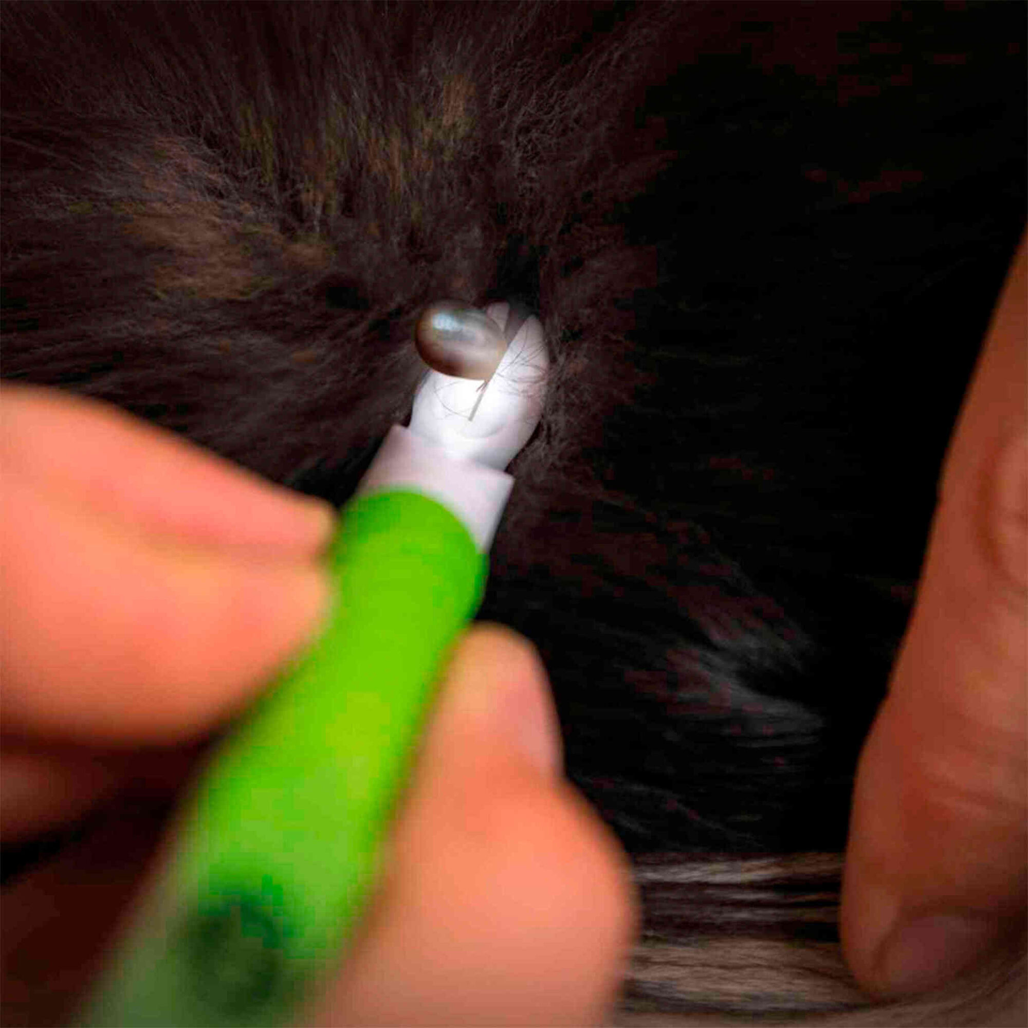 Pinça com Led para Remoção de Carraças