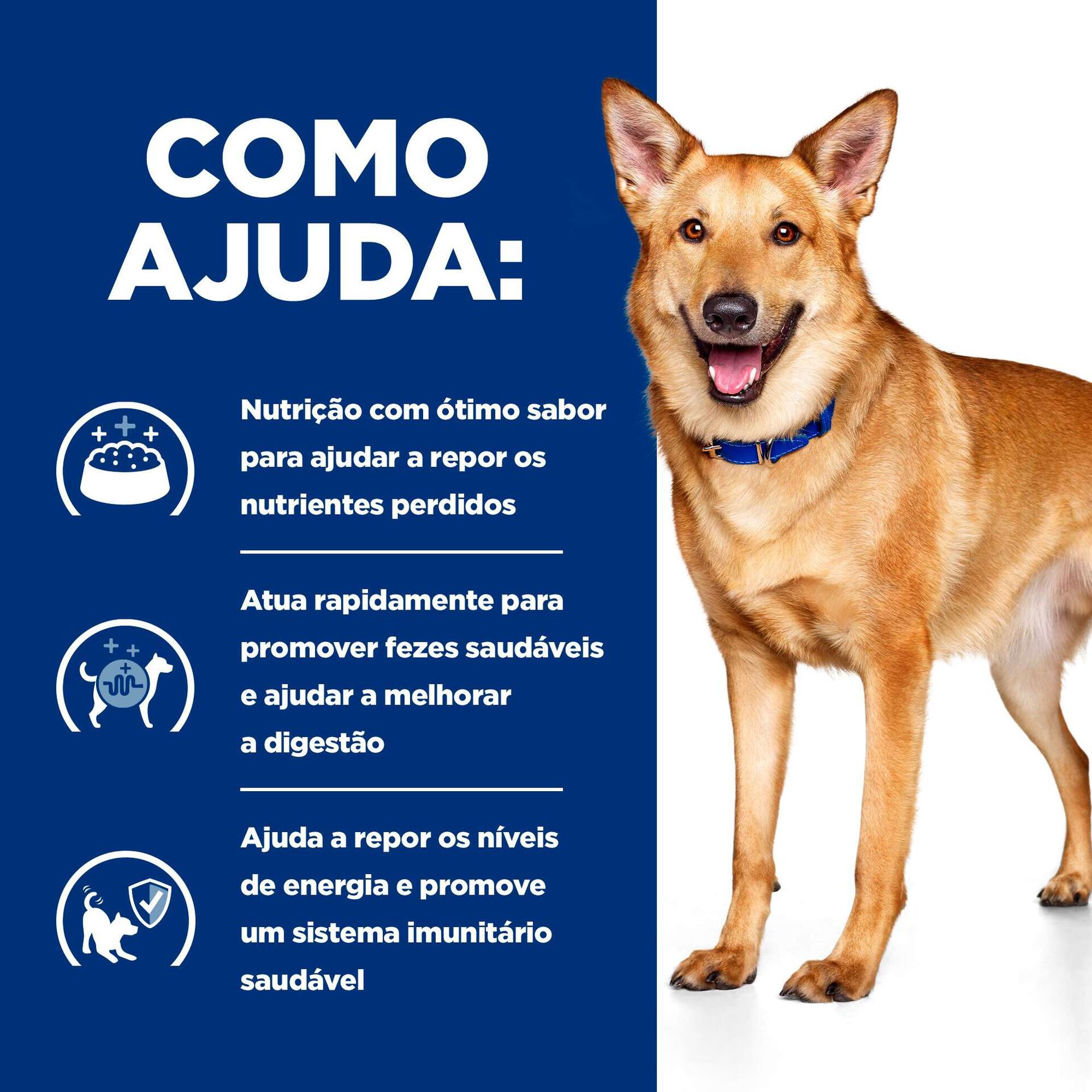 Comida Húmida para Cão Prescription Diet Digestive Care Peru