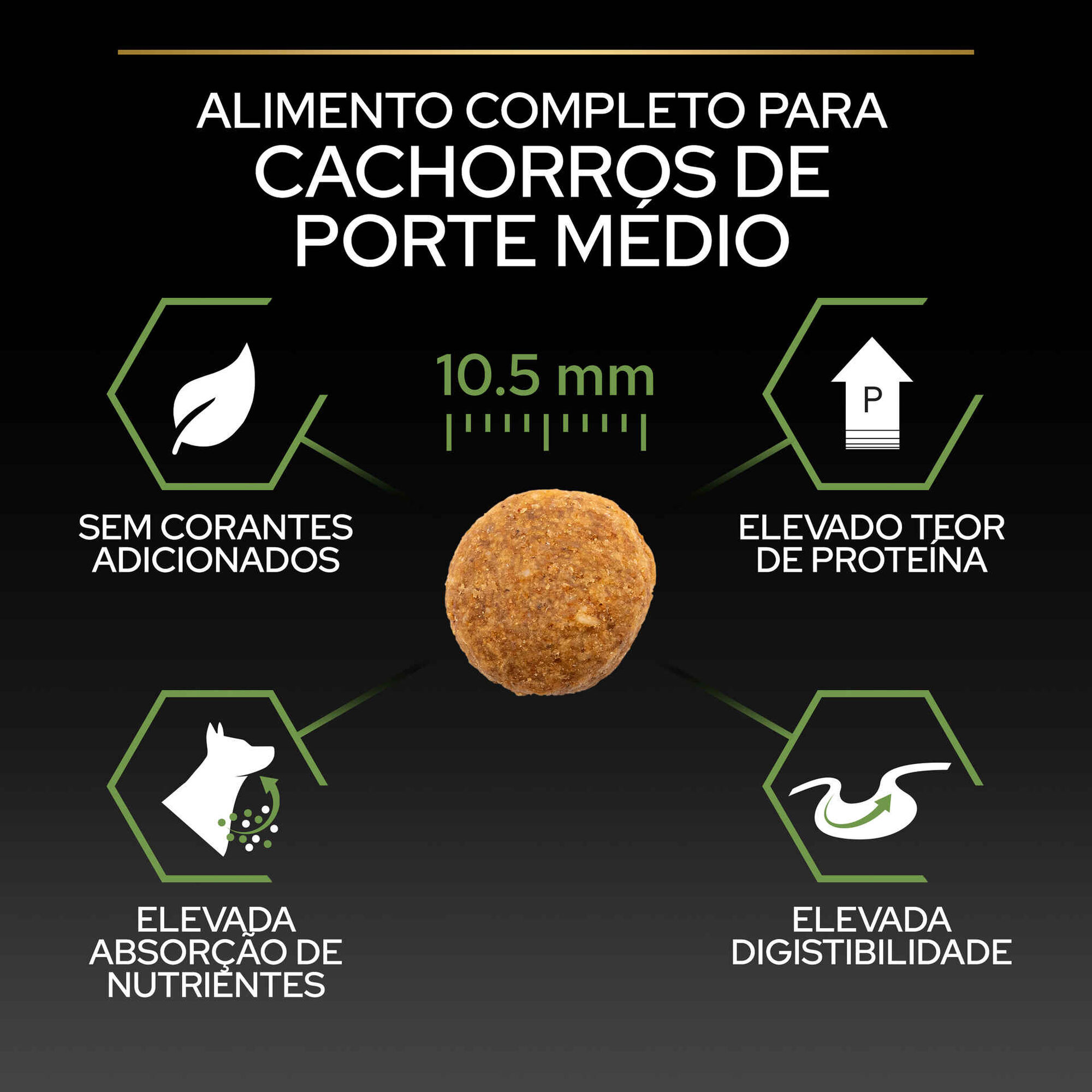 Ração para Cão Júnior Médio Healthy Start