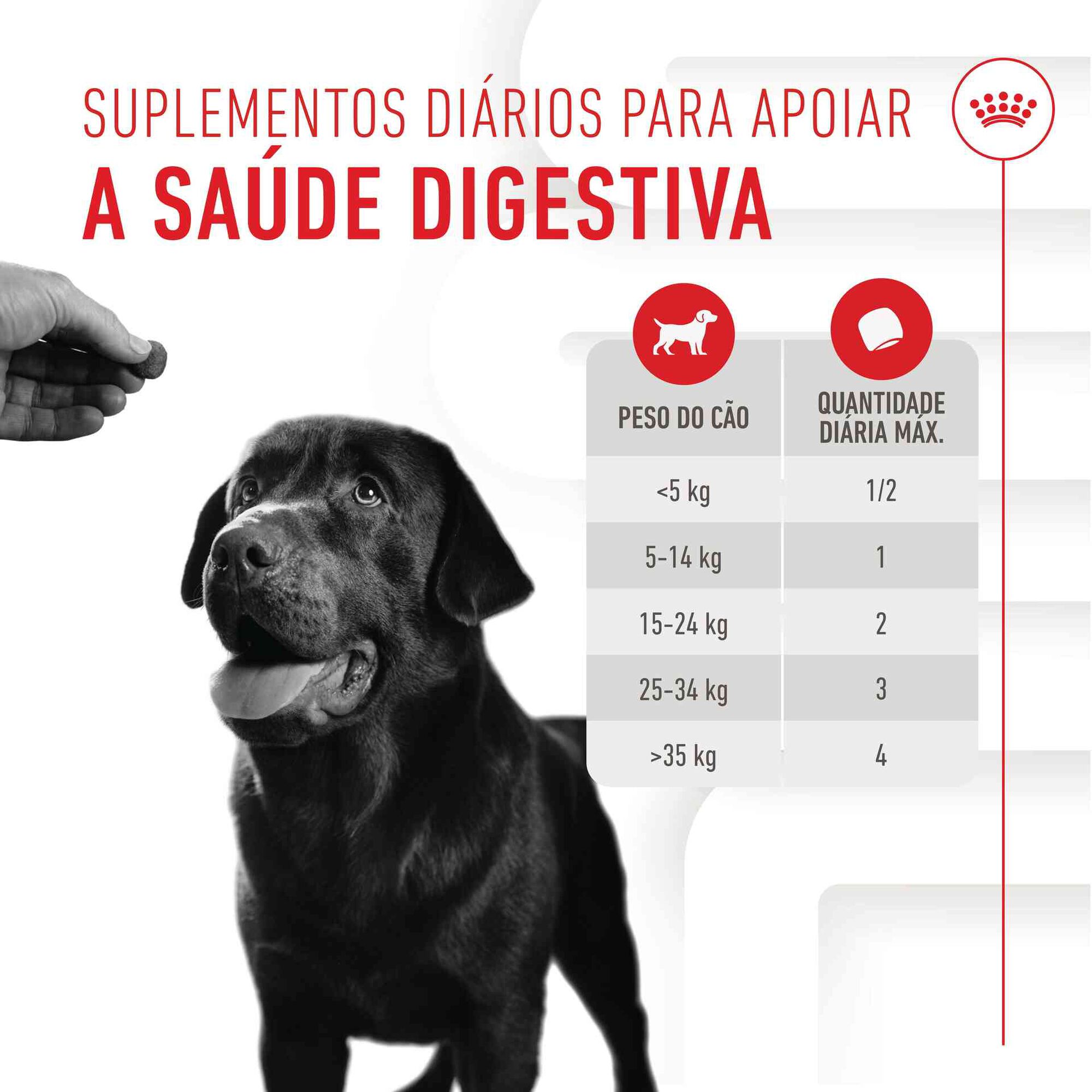 Suplemento Snack para Cão Adulto Digestion Chews