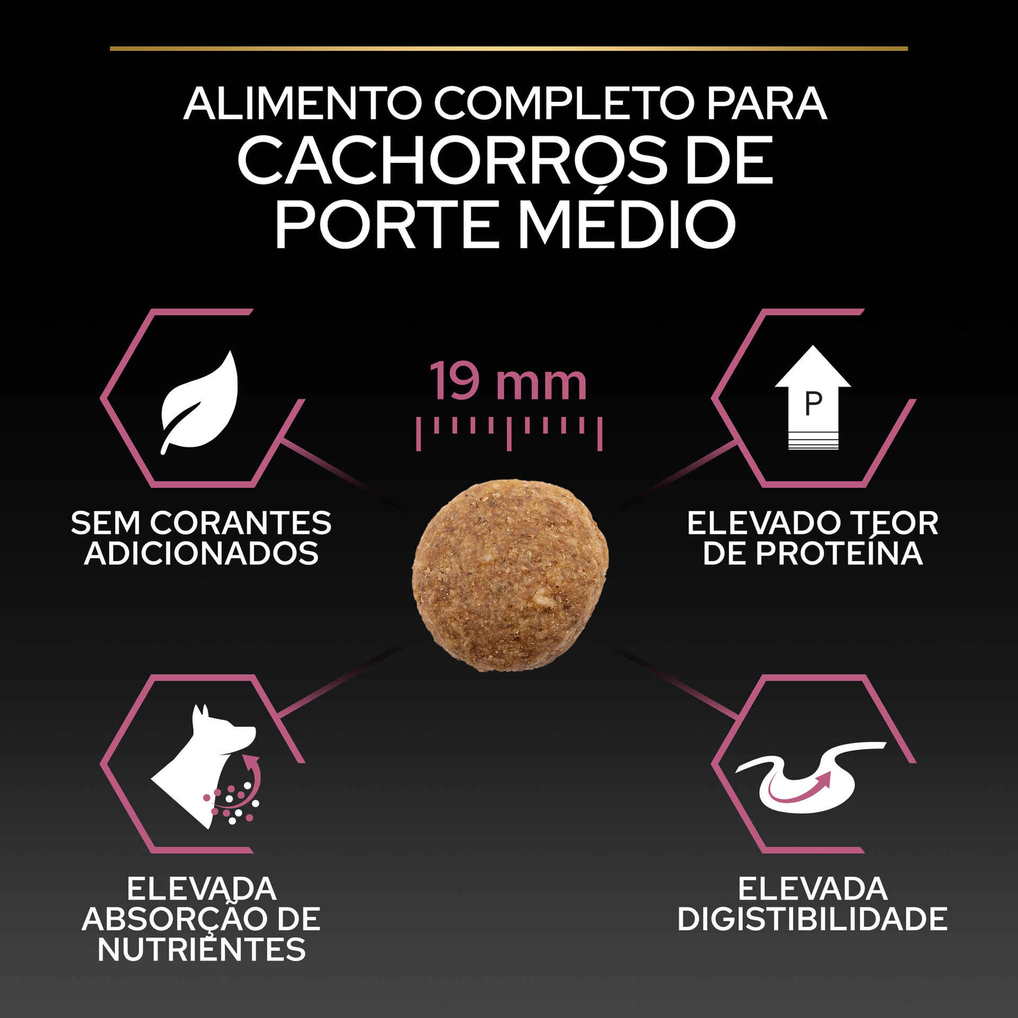 Ração para Cão Júnior Médio Sensitive Skin Salmão