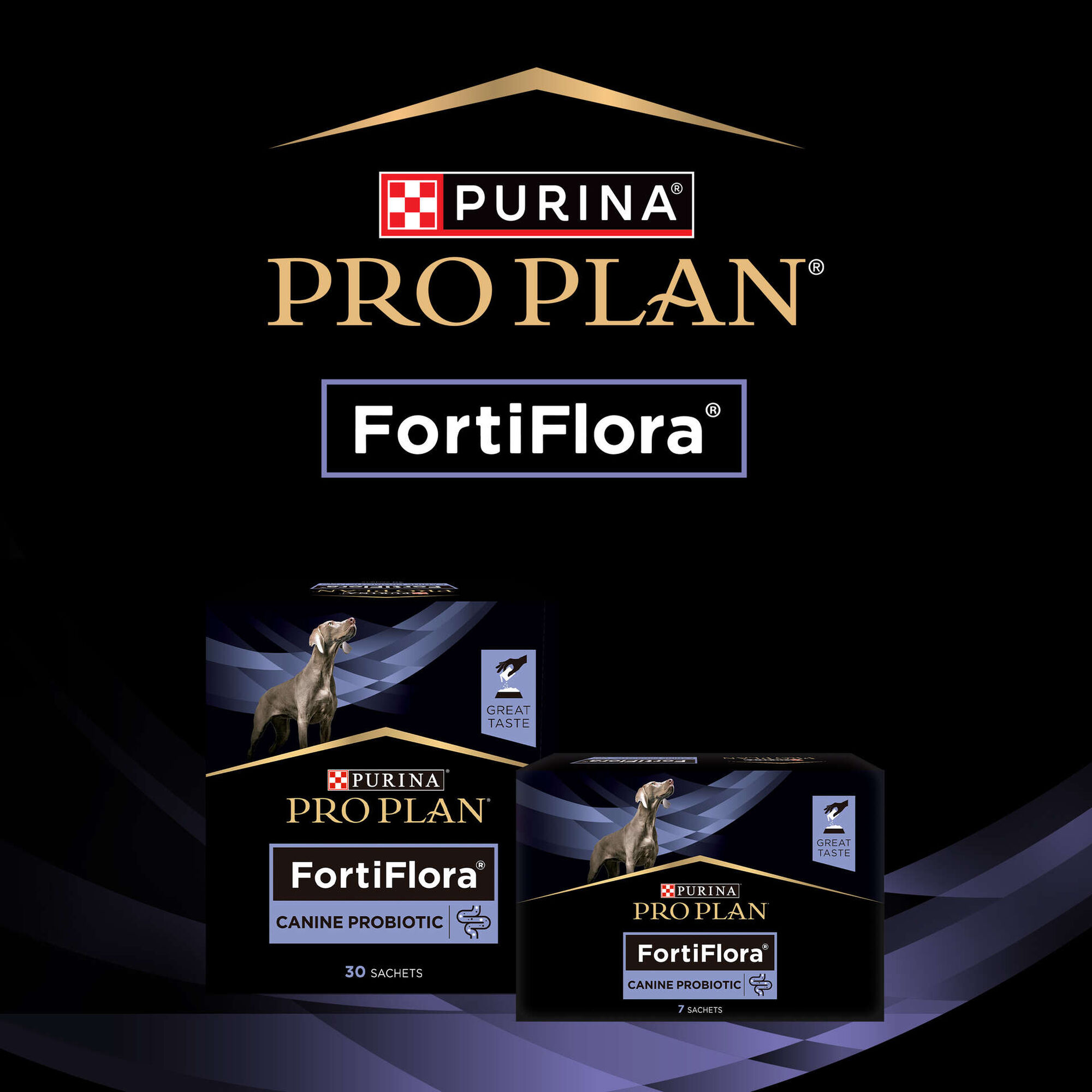 Suplemento Fortiflora para Cão Suplemento Fortiflora para Cão