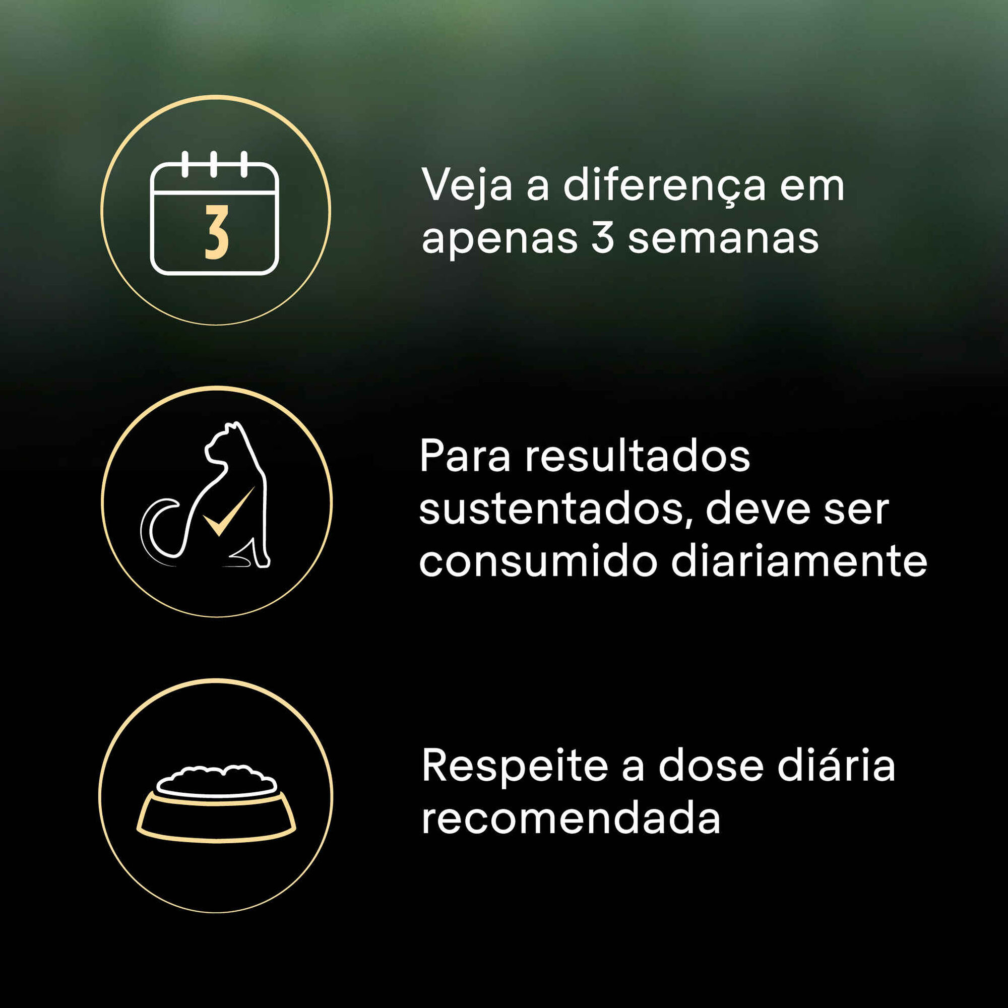 Ração para Gato Adulto Esterilizado Live Clear Salmão