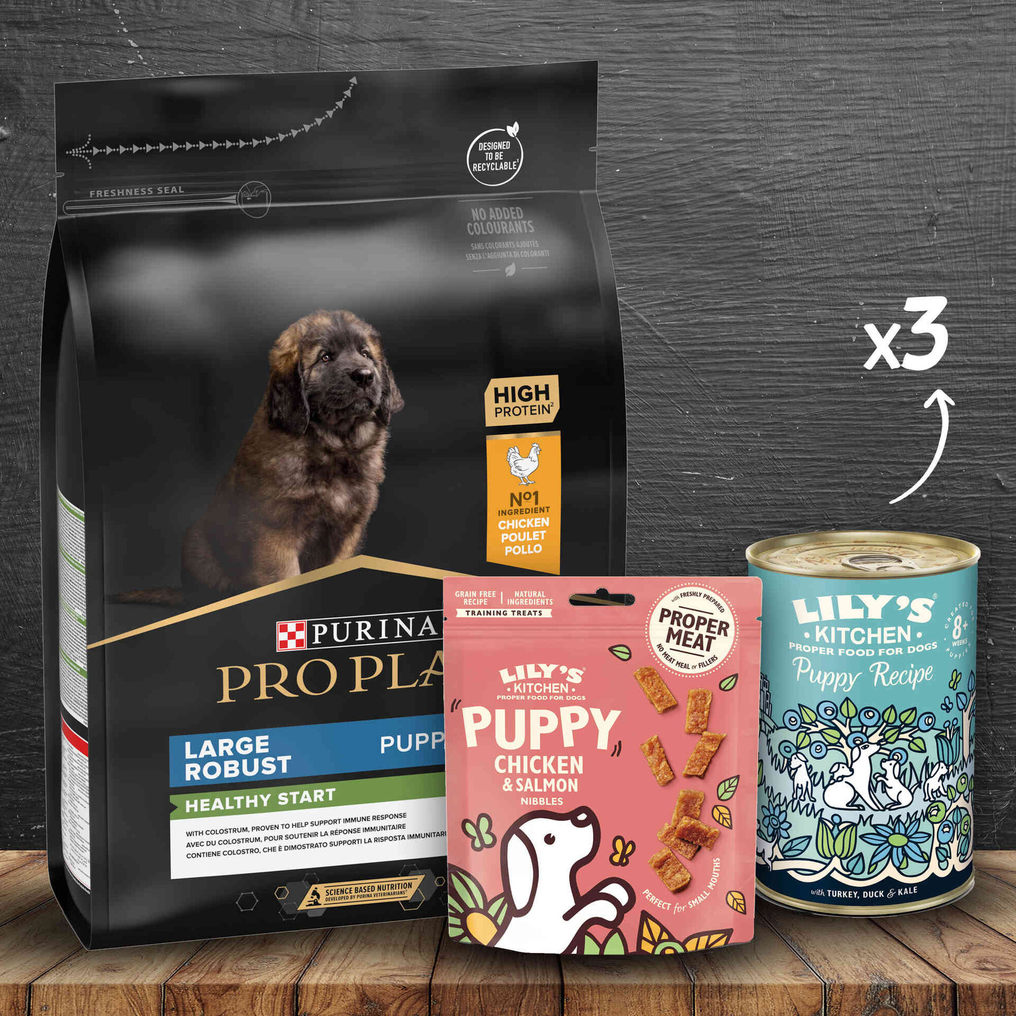 Kit de Alimentação para Cão Puppy Maxi Robust