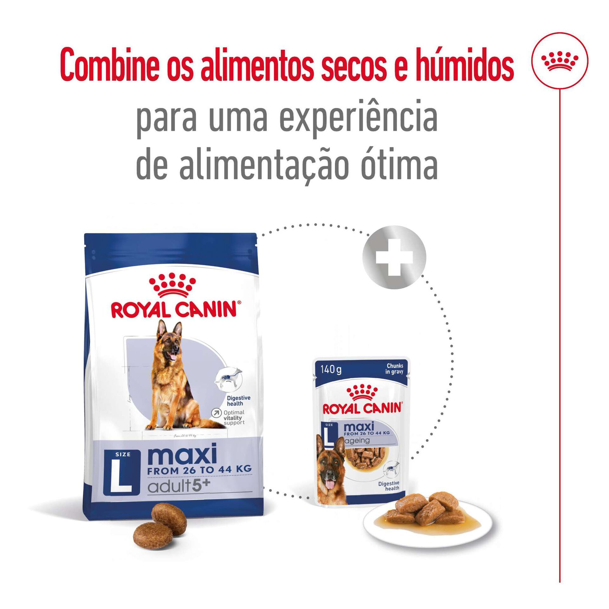 Ração para Cão Adulto Maxi Ageing 5+