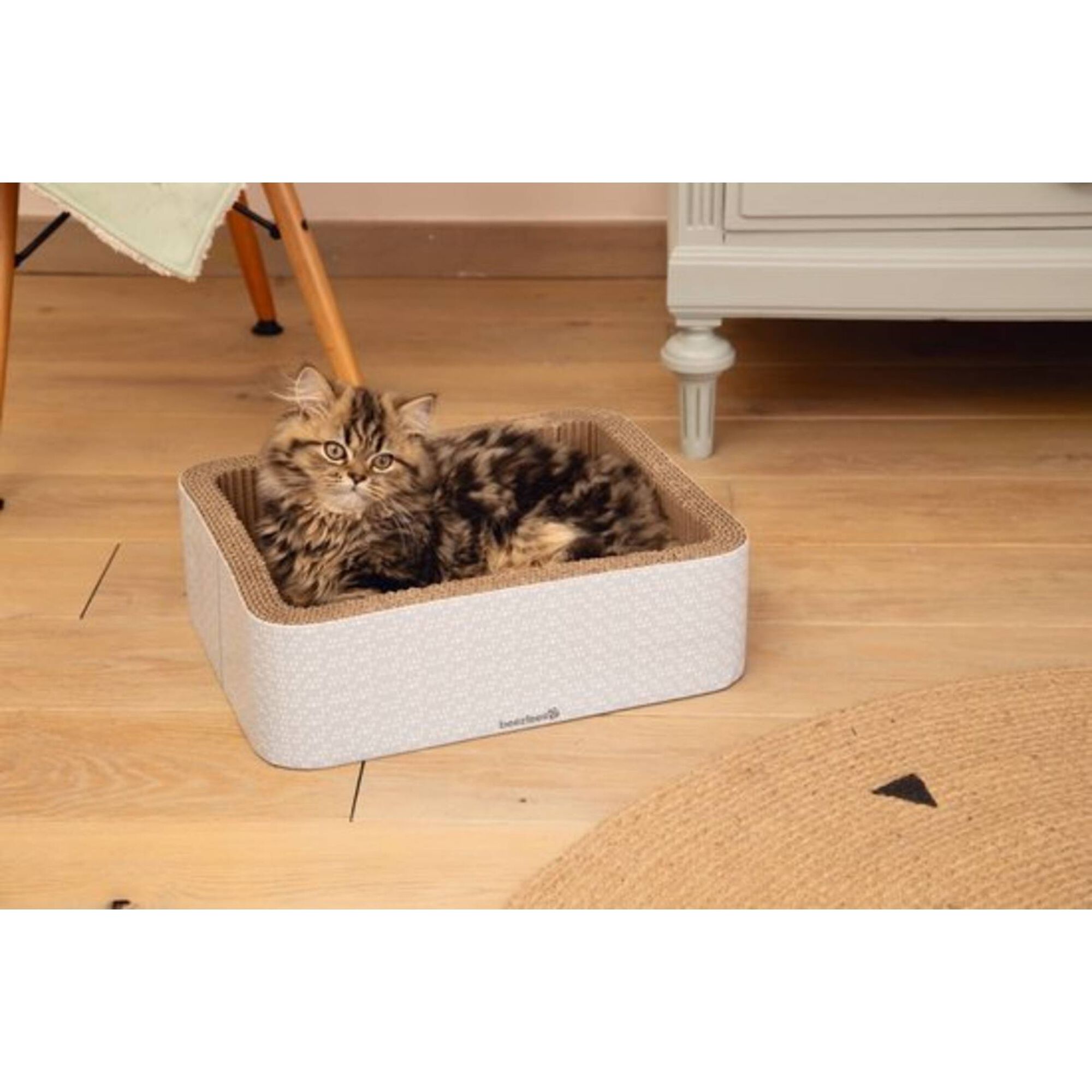 Arranhador Cesto de Cartão