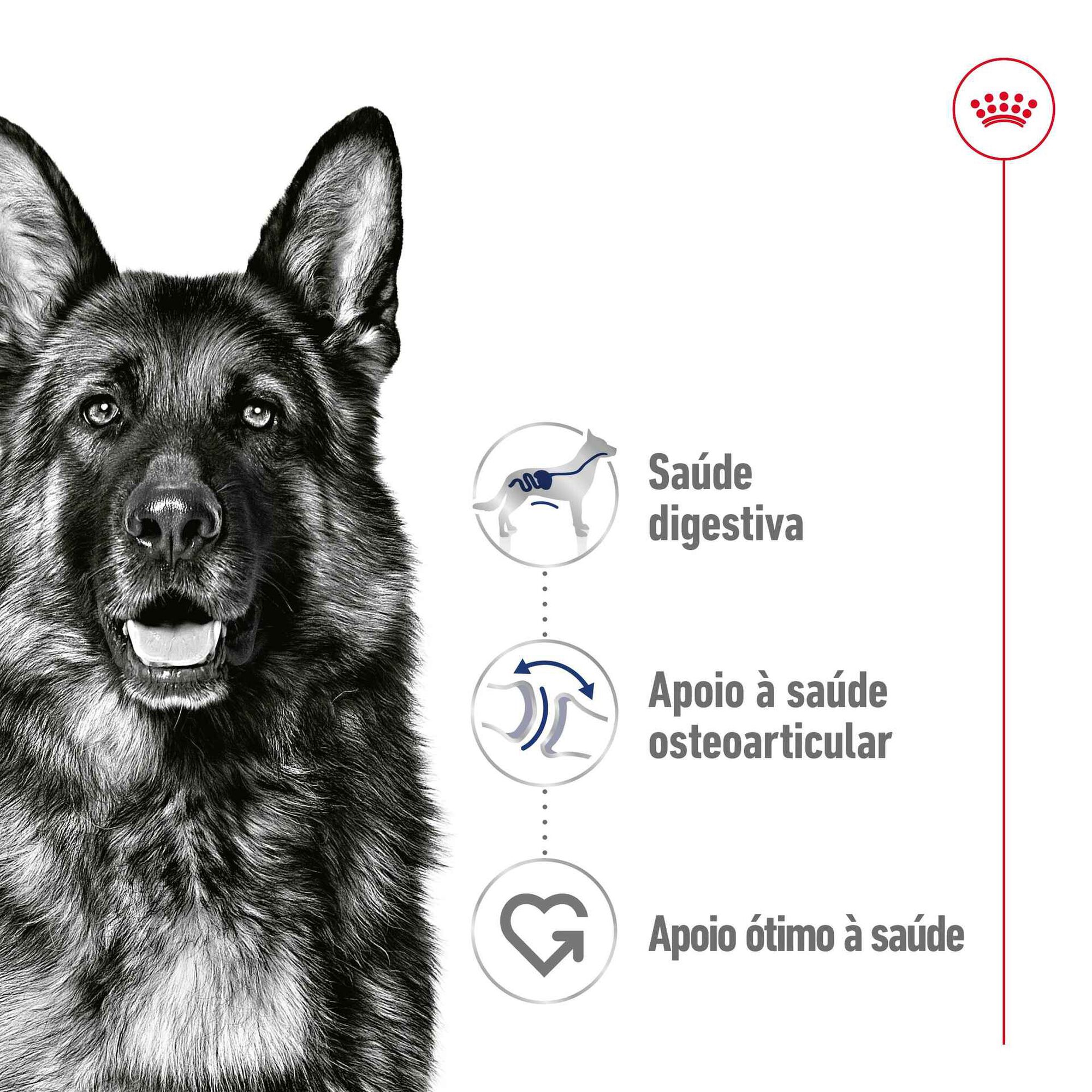 Comida Húmida para Cão Maxi Saquetas