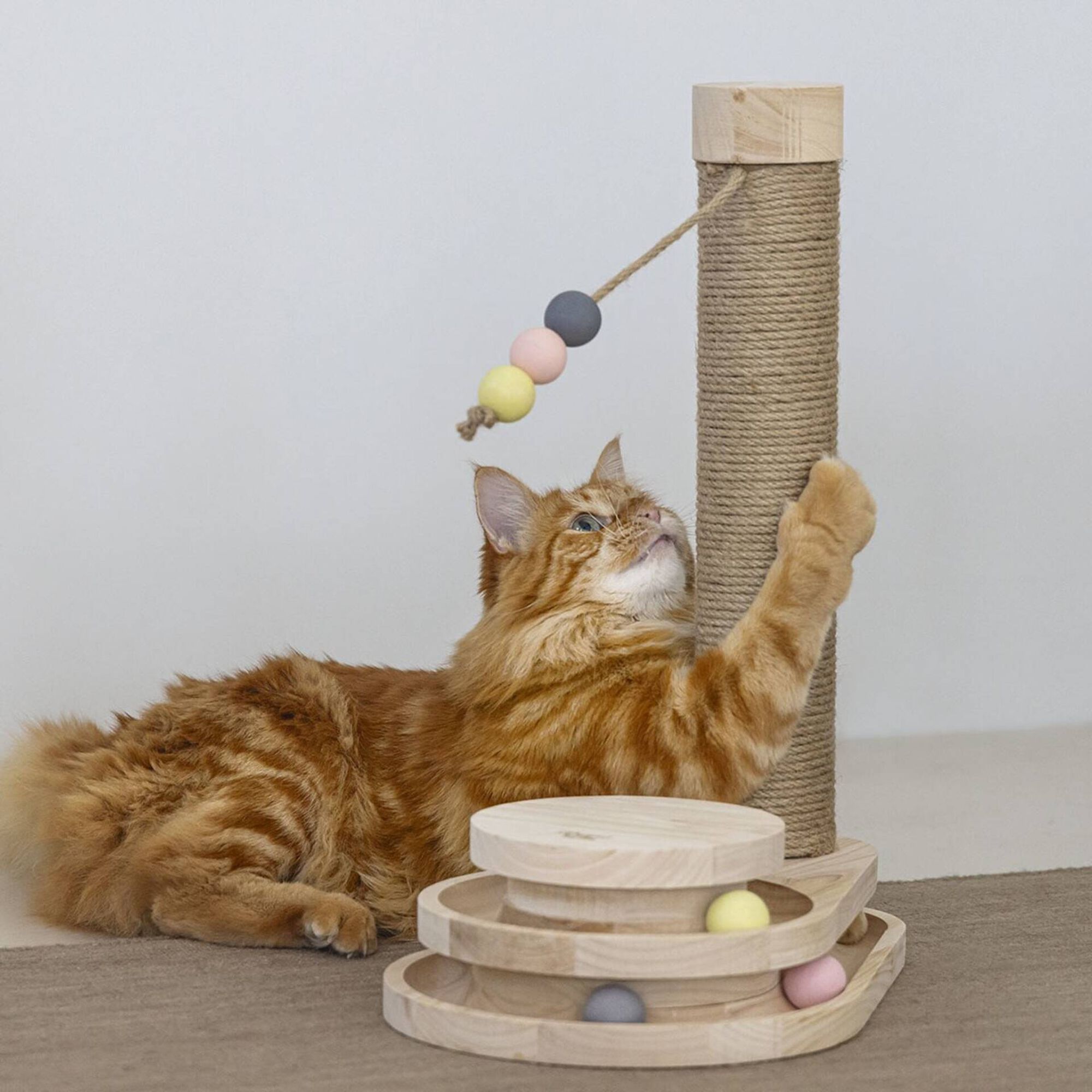 Arranhador Post Inez Arranhador Post Inez