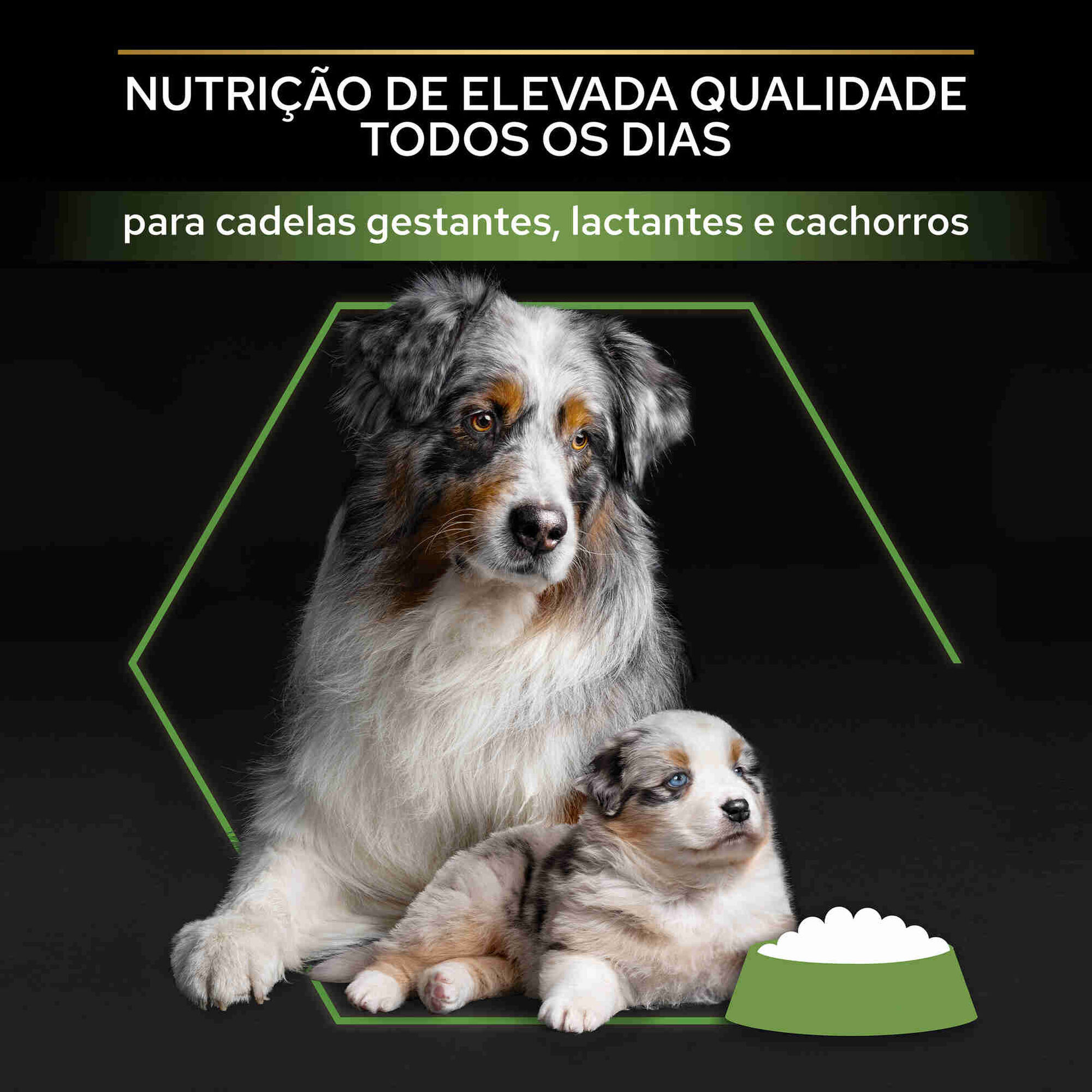Ração para Cão Júnior Starter Mini e Médio Frango