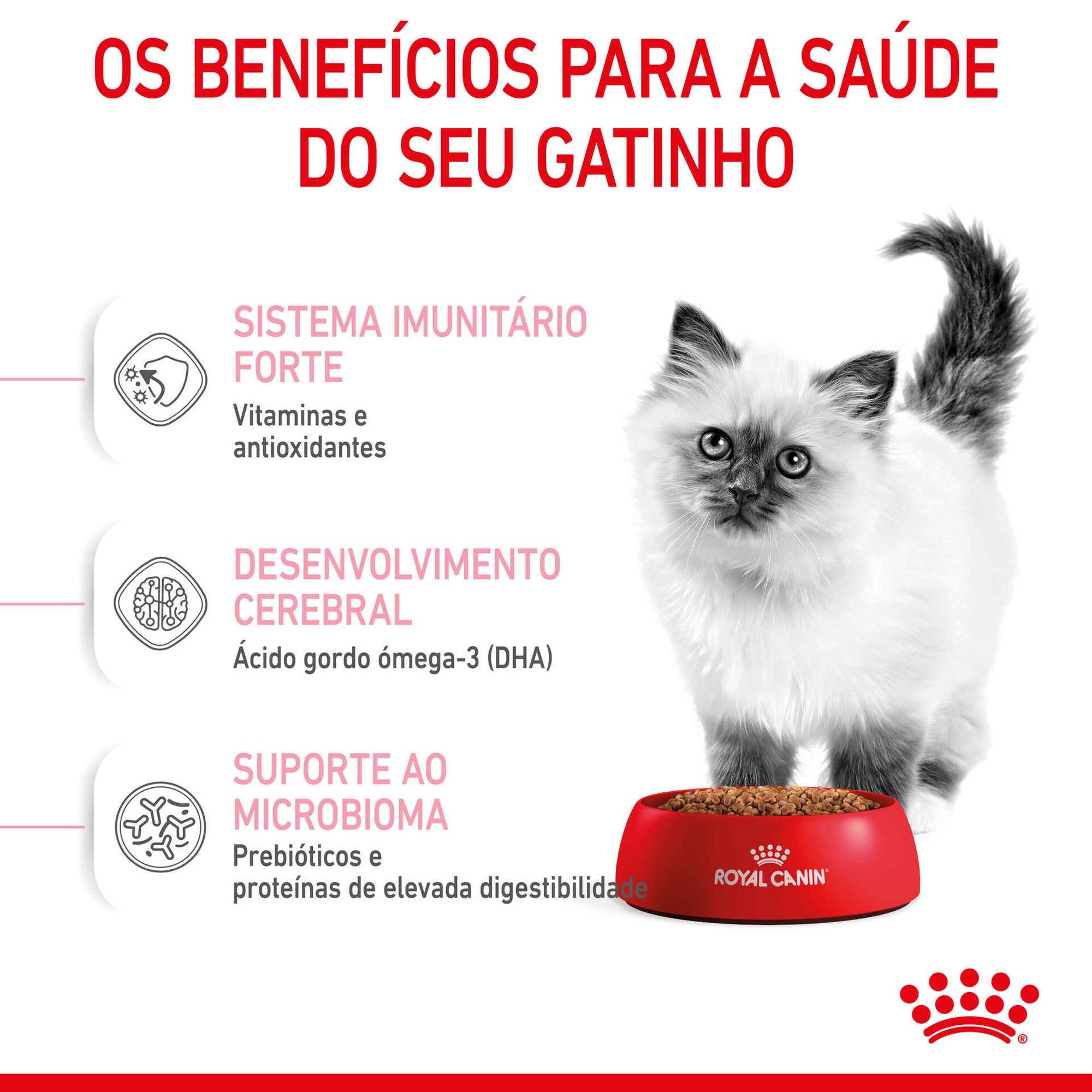 Ração para Gato Júnior