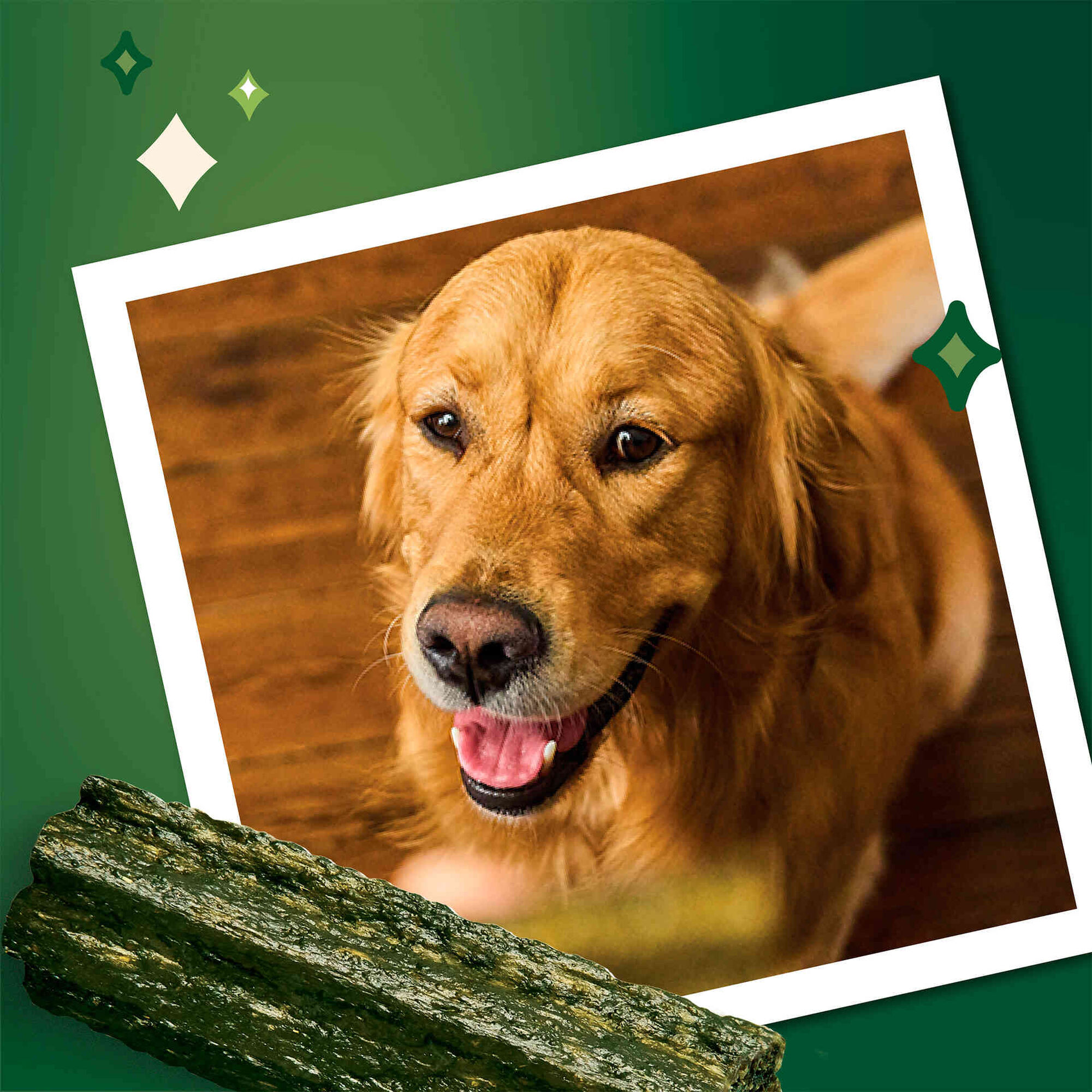 Snack para Cão Adulto Maxi Woofbrush Dental Chew