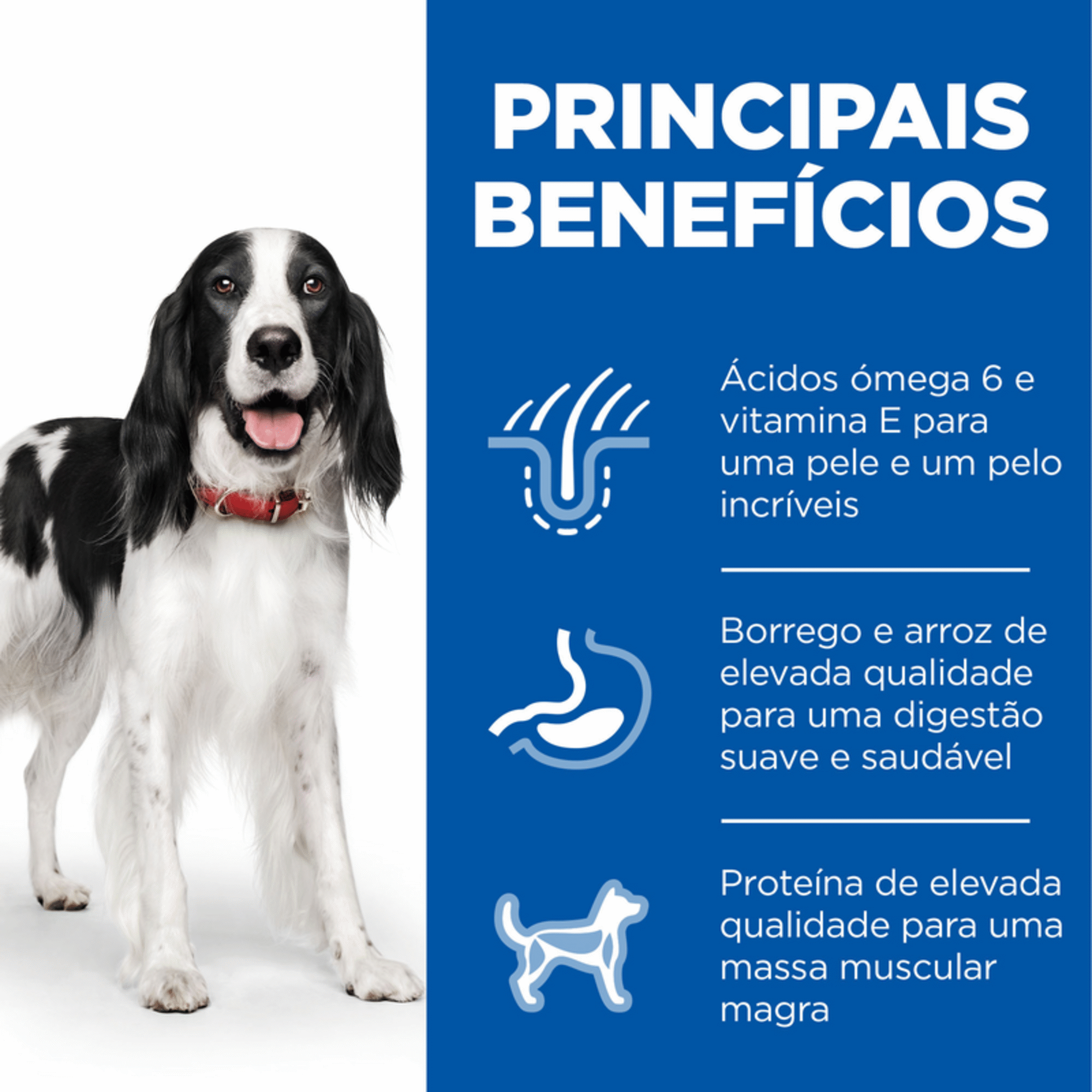 Ração para Cão Adulto Médio Science Plan Borrego e Arroz