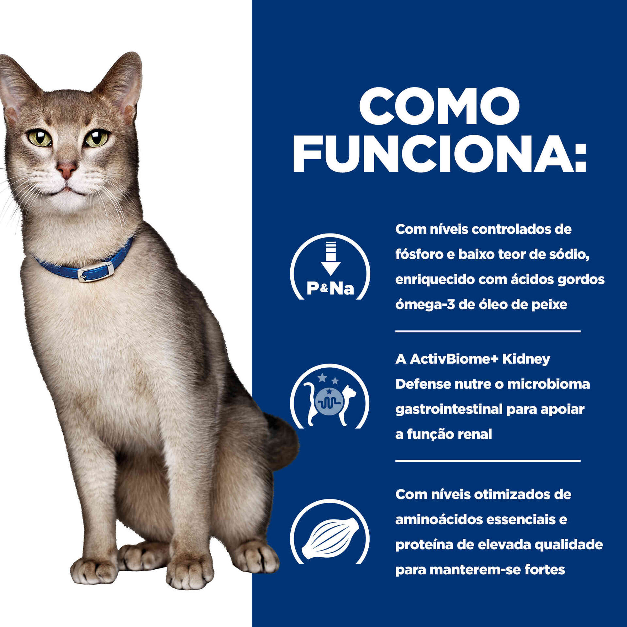 Comida H&uacute;mida para Gato Prescription Diet Kidney Care Frango