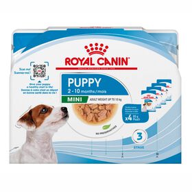 Comida H&uacute;mida para C&atilde;o J&uacute;nior Mini Royal Canin
