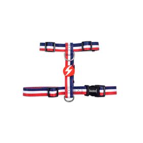 Arn&ecirc;s para C&atilde;o Stripes3 Vermelho e Azul XS