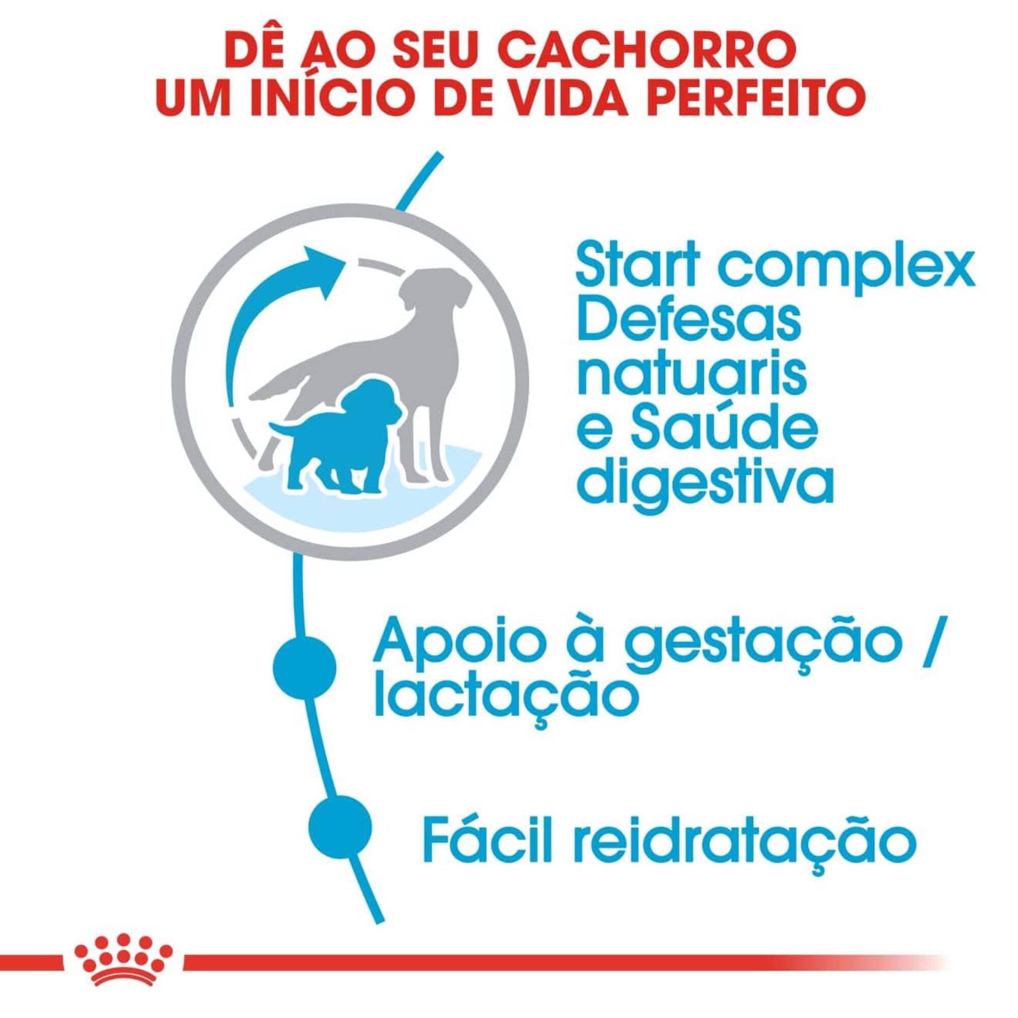 Ração para Cão Starter Mother e Babydog