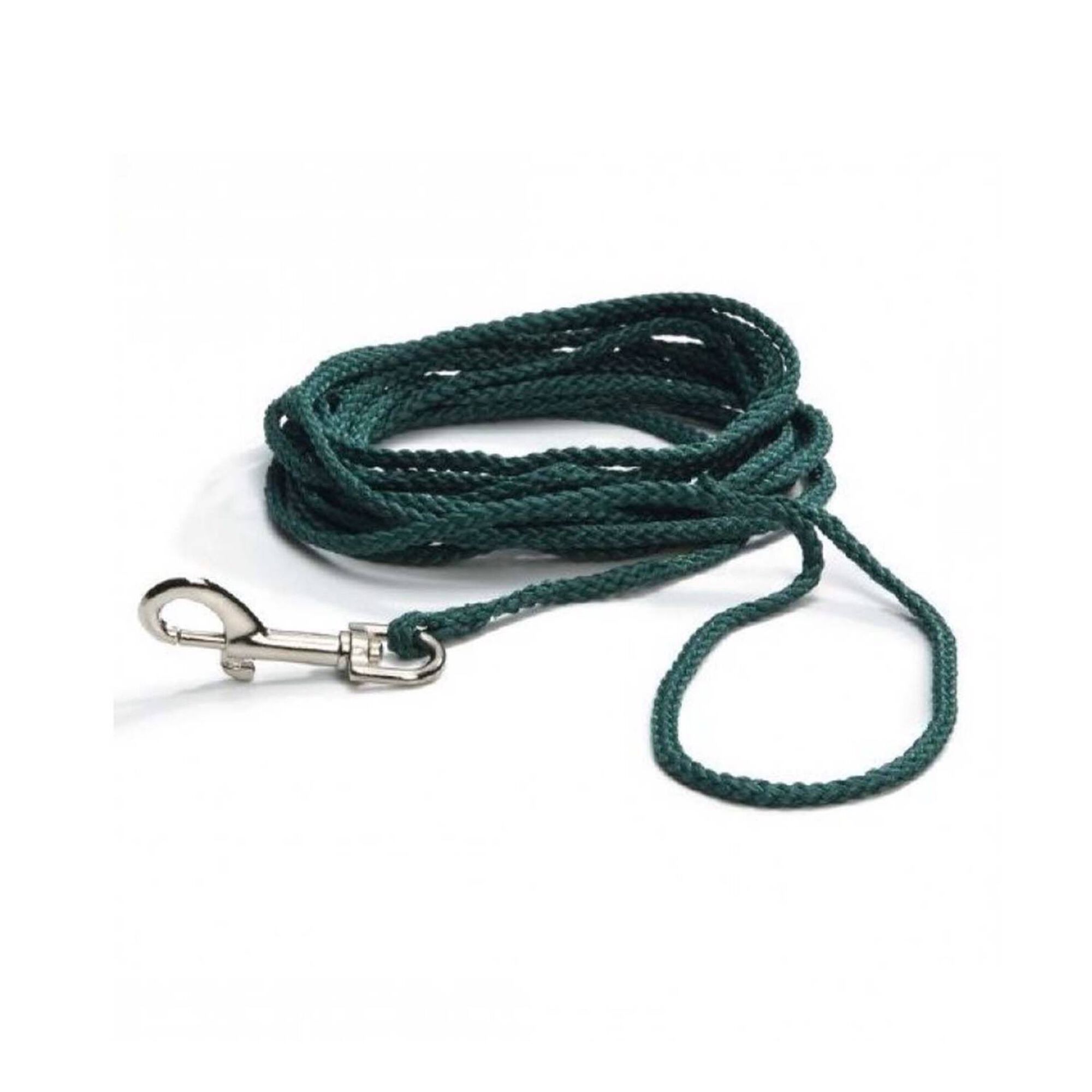 Trela para Cão Treino Corda Verde