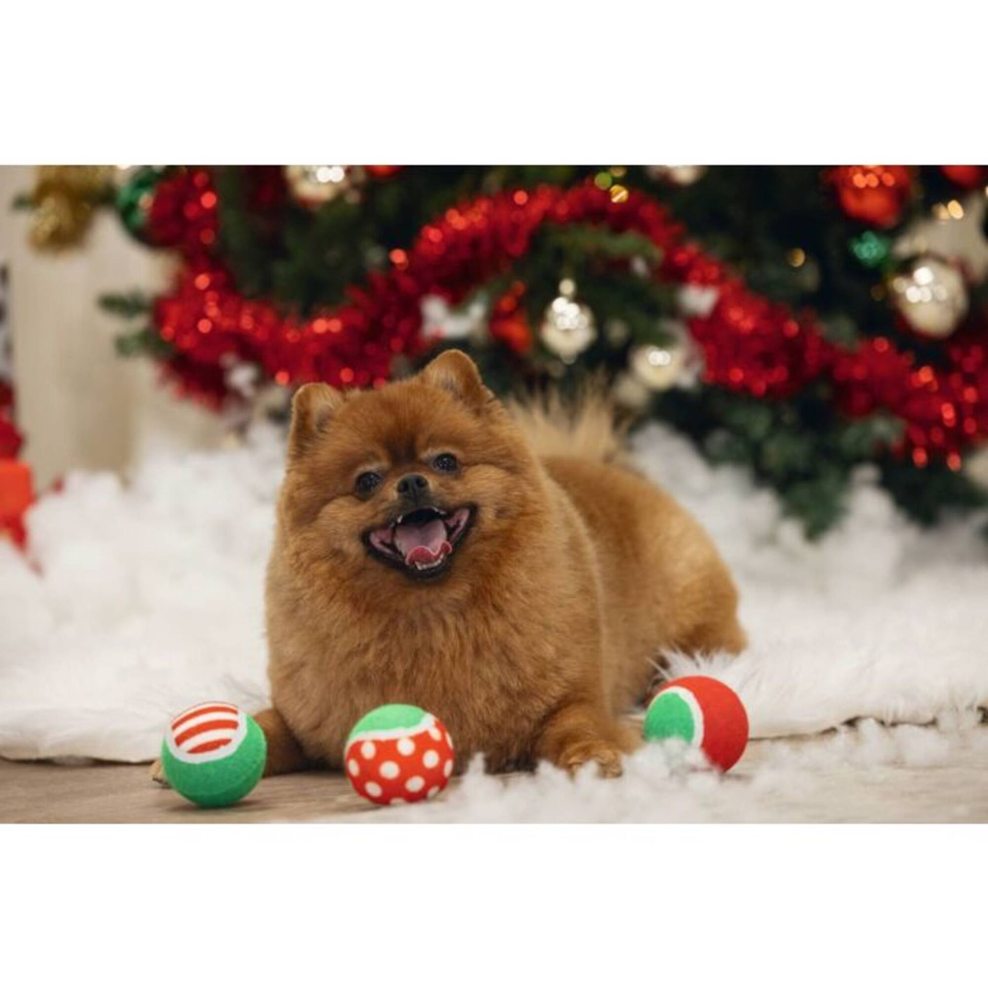 Brinquedo para Cão Bolas de Ténis Natal