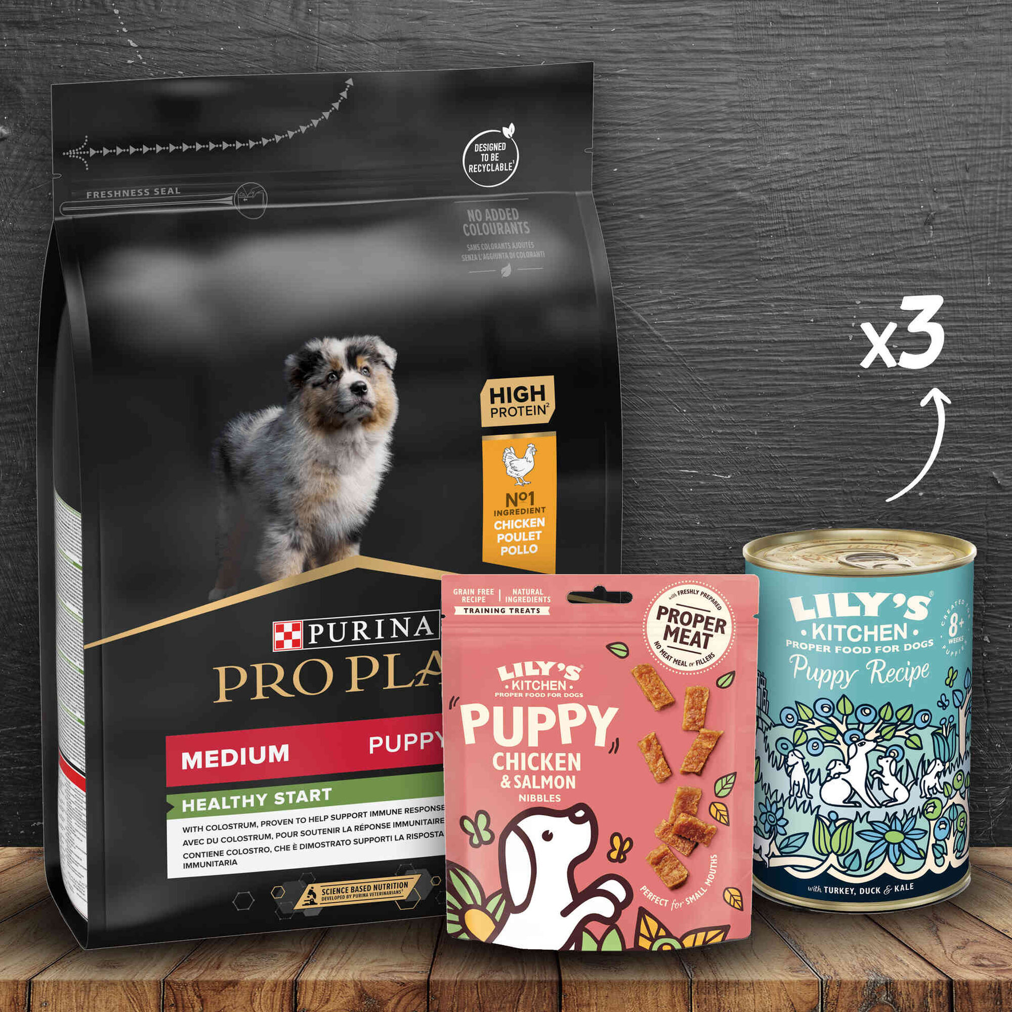 Kit de Alimentação para Cão Puppy Médio