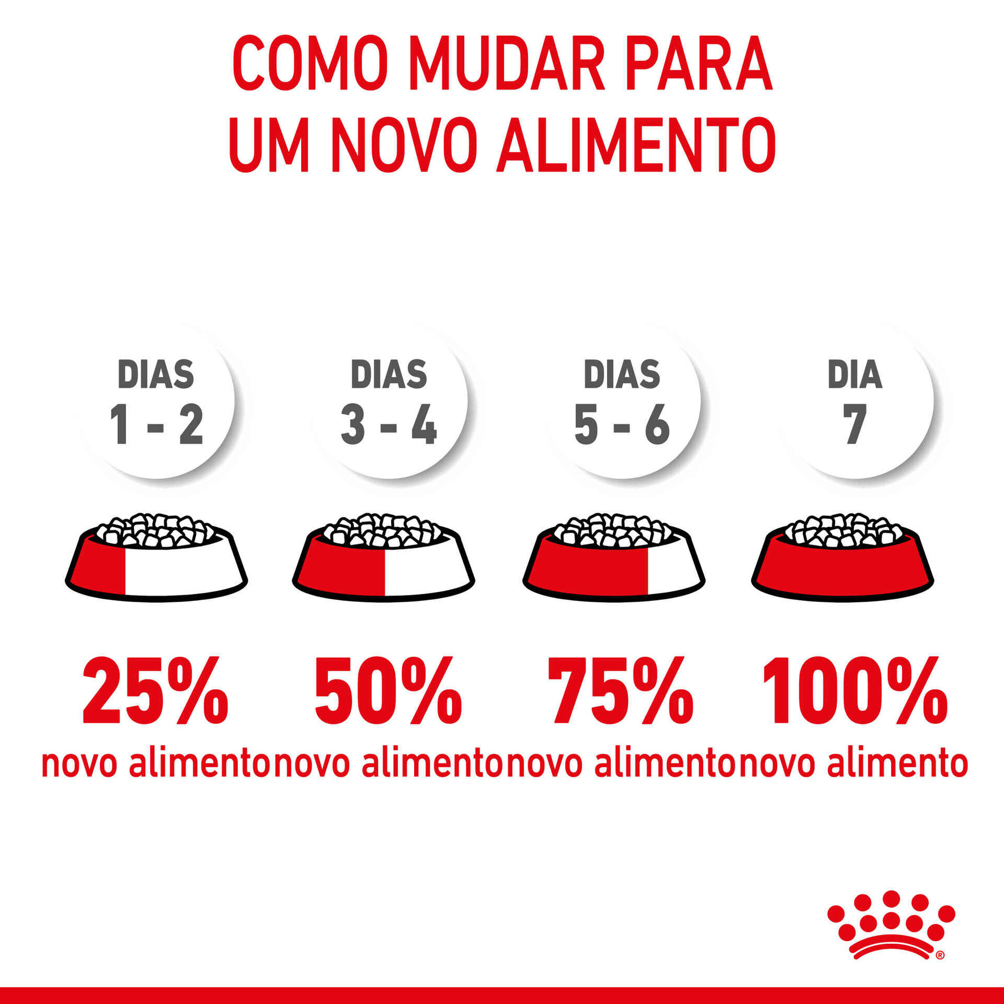 Ração para Cão Júnior Giant Ração para Cão Júnior Giant