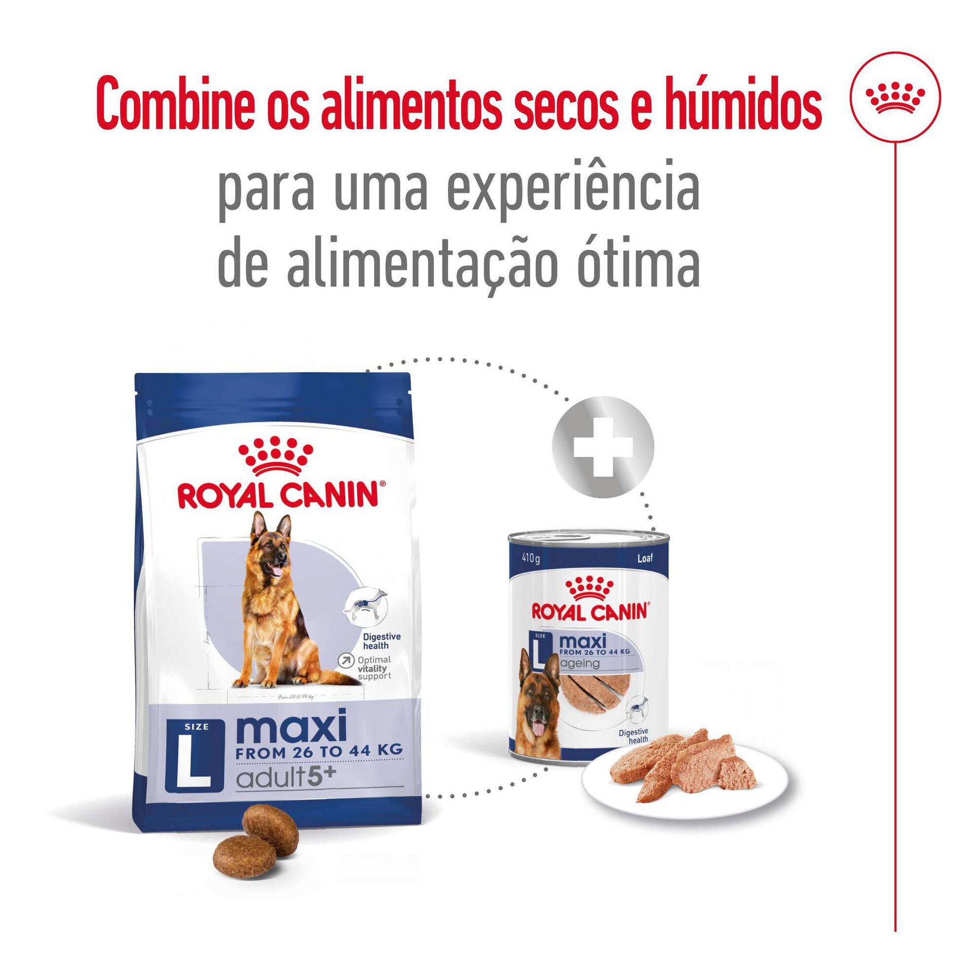 Ração para Cão Adulto Maxi Ageing 5+