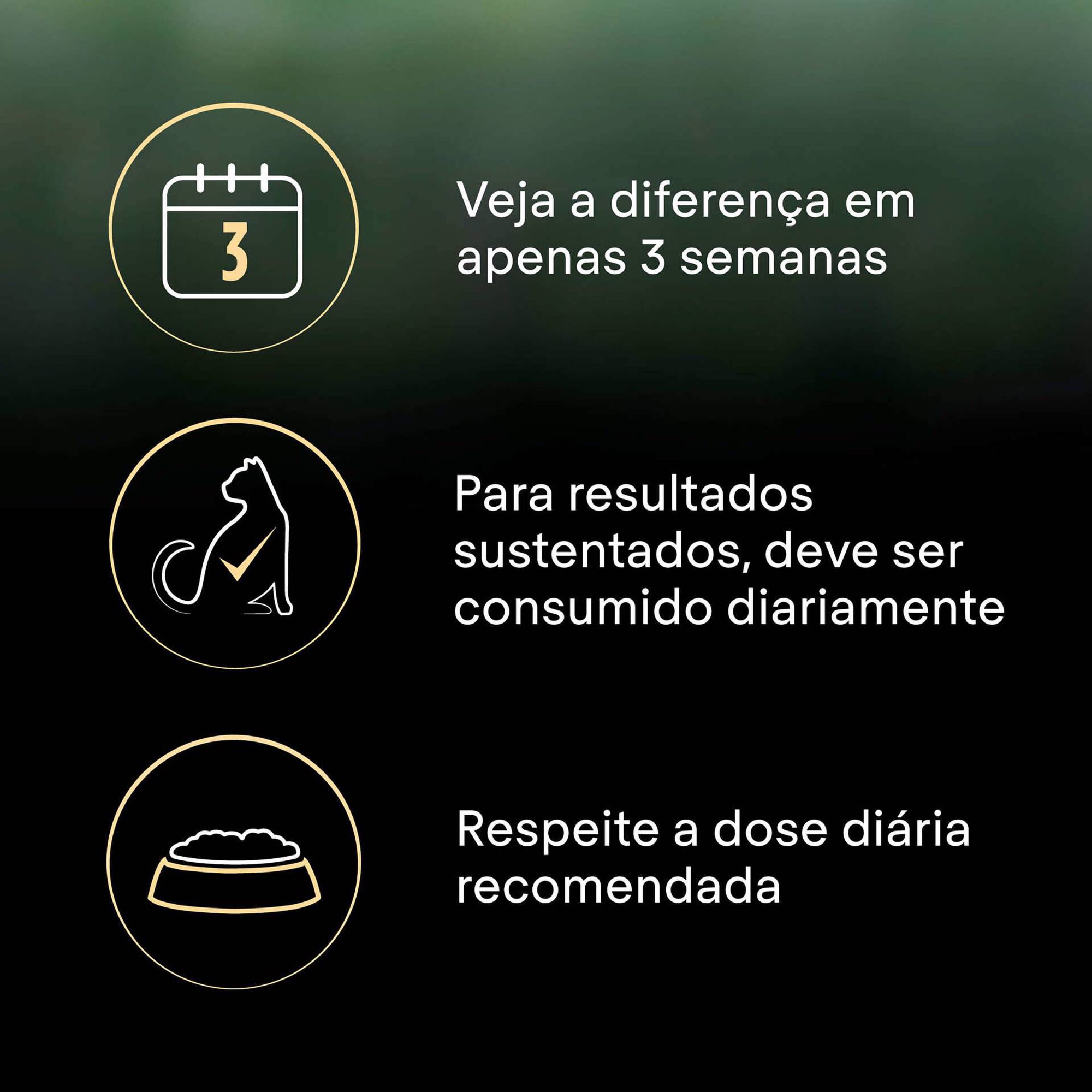 Ração para Gato Júnior Live Clear Peru