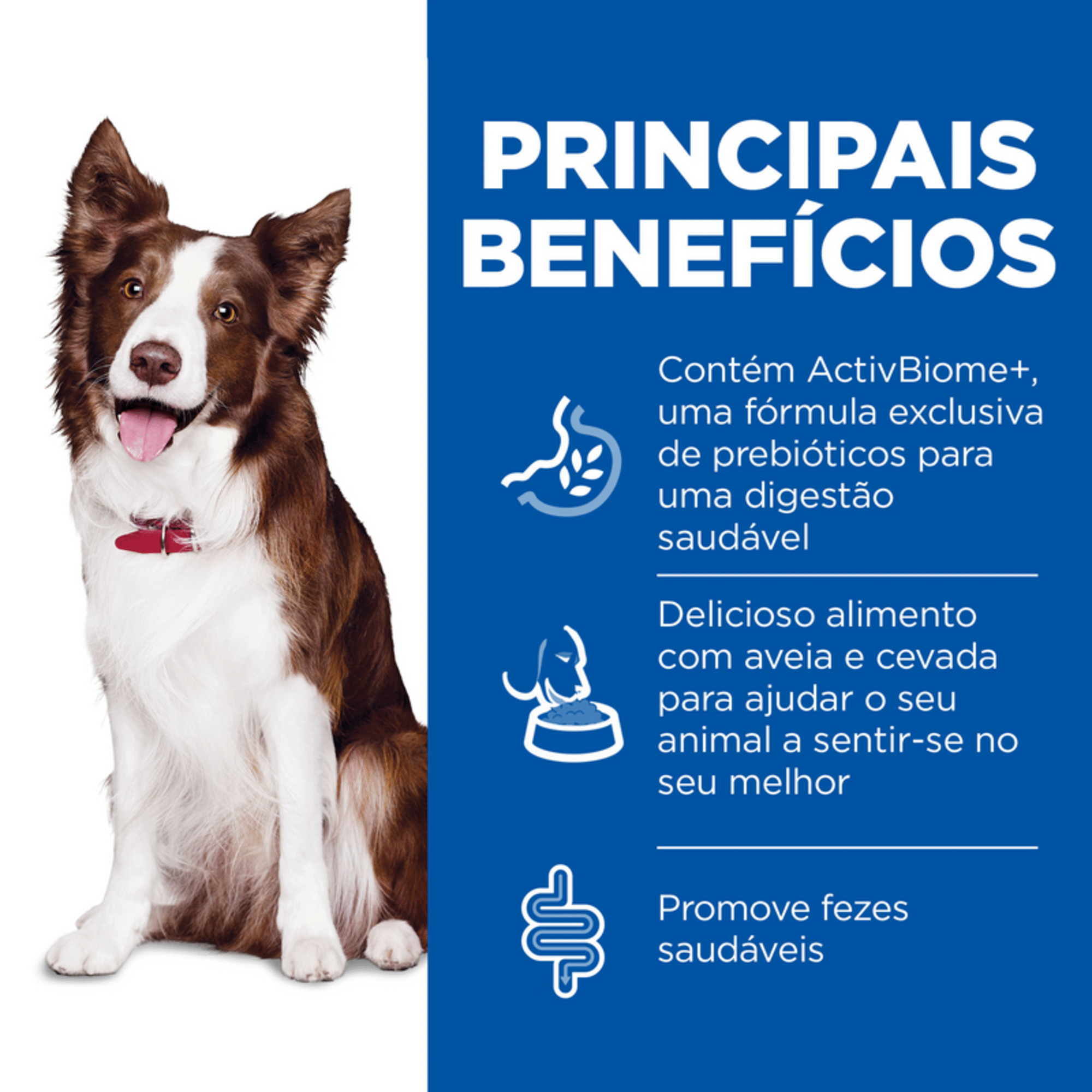 Ração para Cão Adulto Médio Science Plan Perfect Digestion Frango