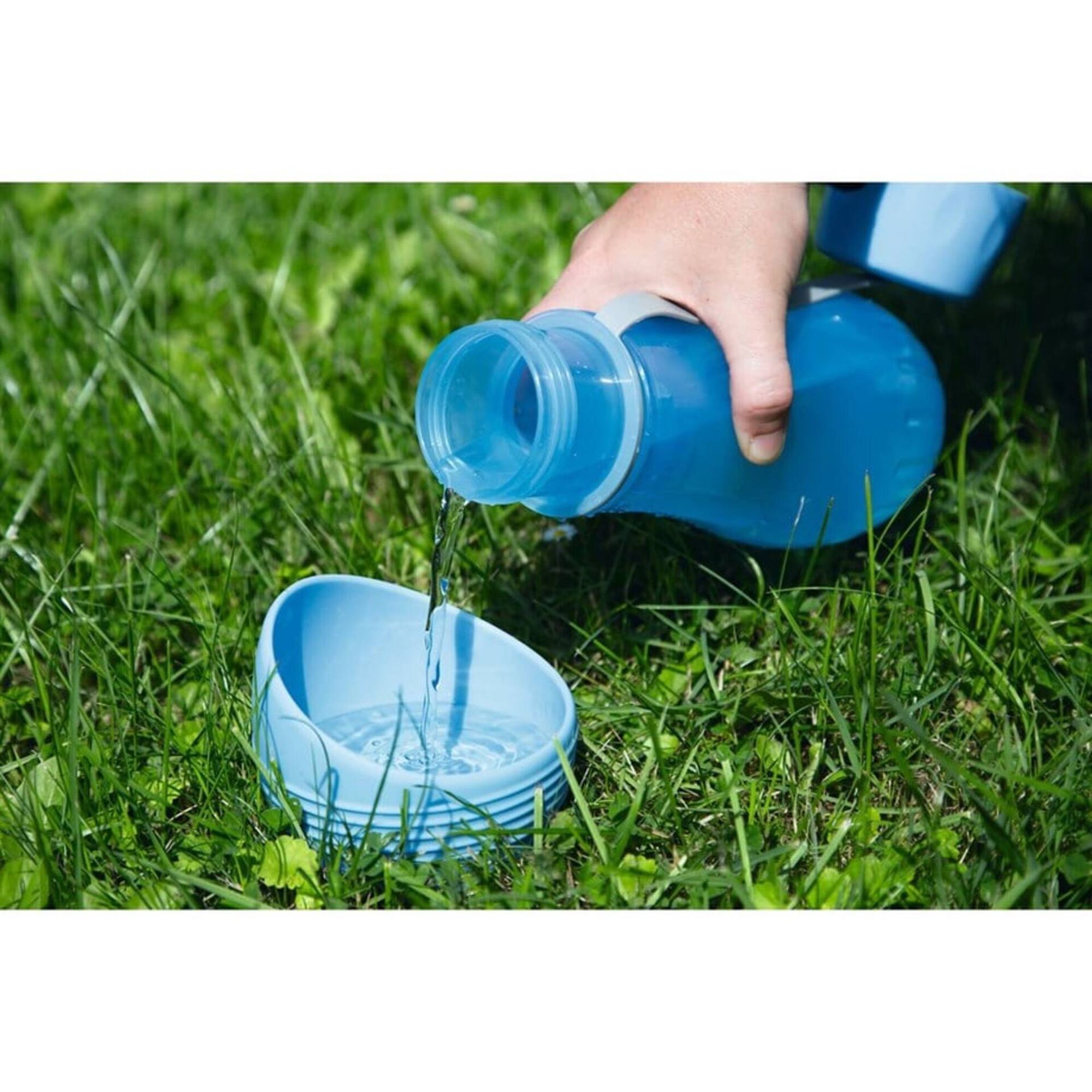 Bebedouro Transparente Azul