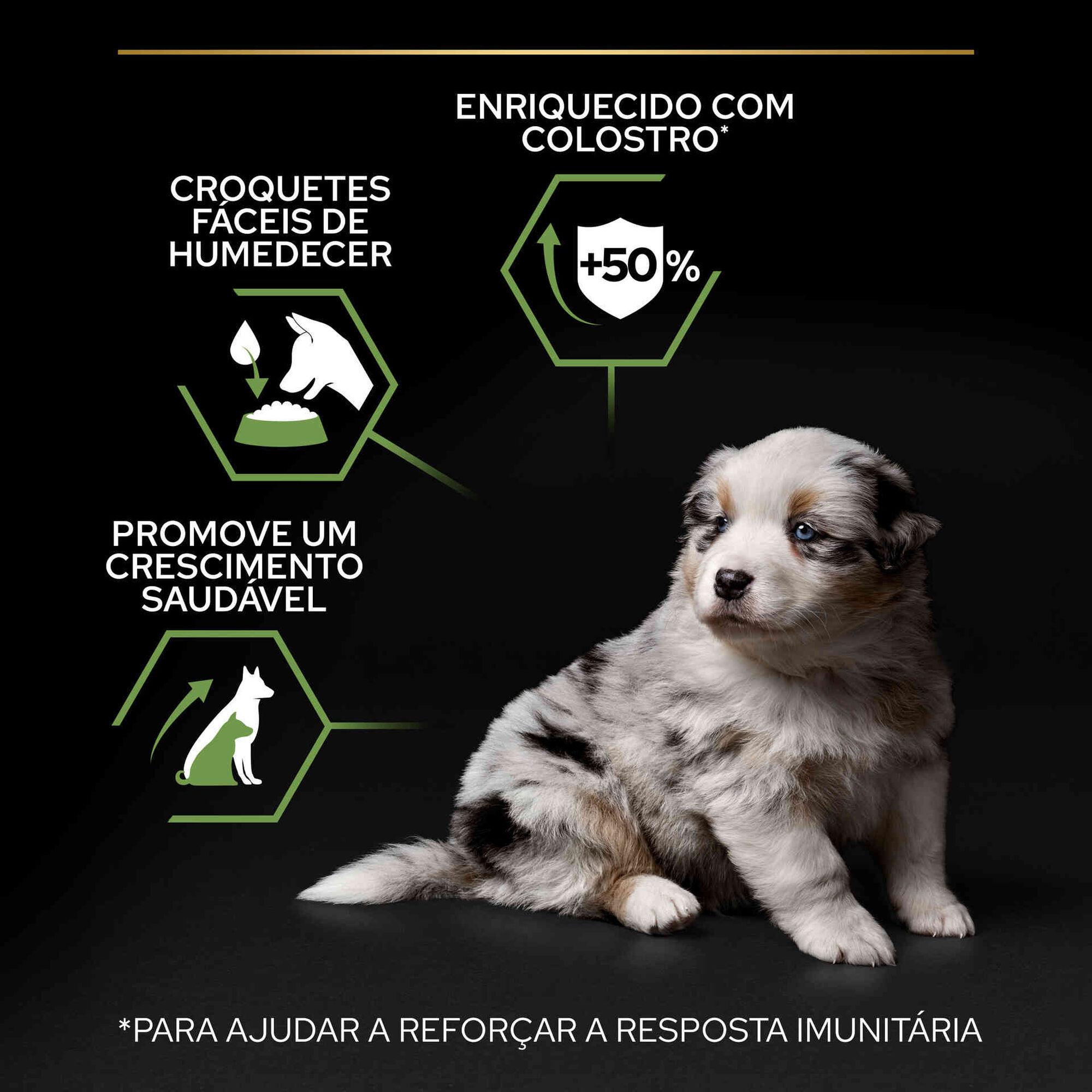 Ração para Cão Júnior Starter Mini e Médio Frango