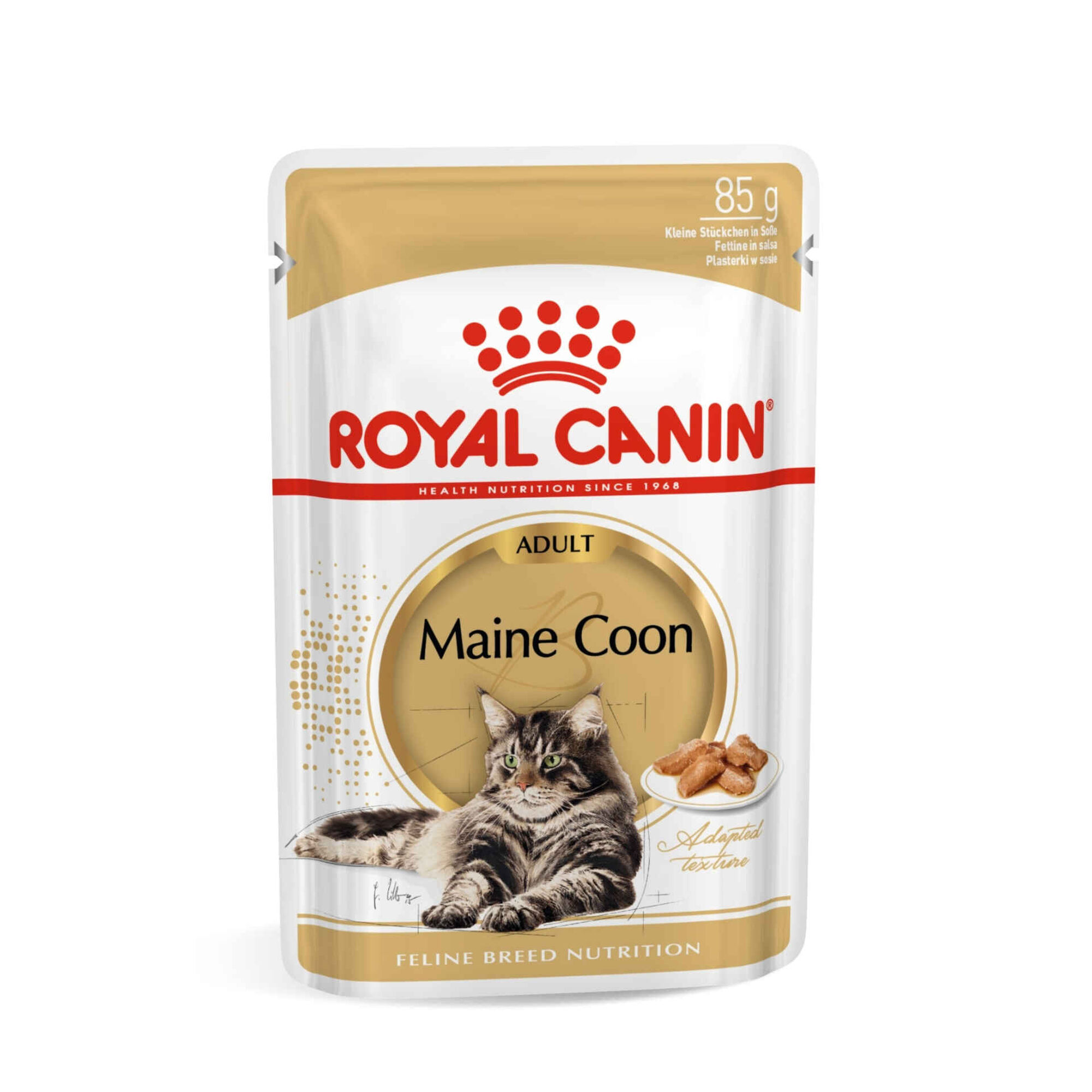 Caixa Comida Húmida para Gato Adulto Maine Coon