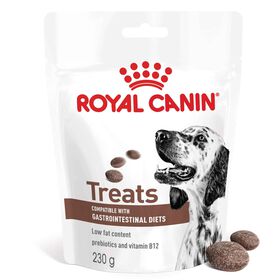 Snack para C&atilde;o Adulto Gastrointestinal Treats Royal Canin