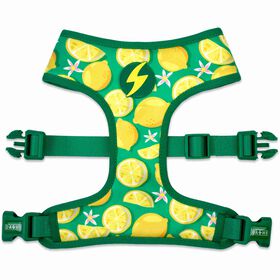 Peitoral para C&atilde;o Eco Rio XS Dashi